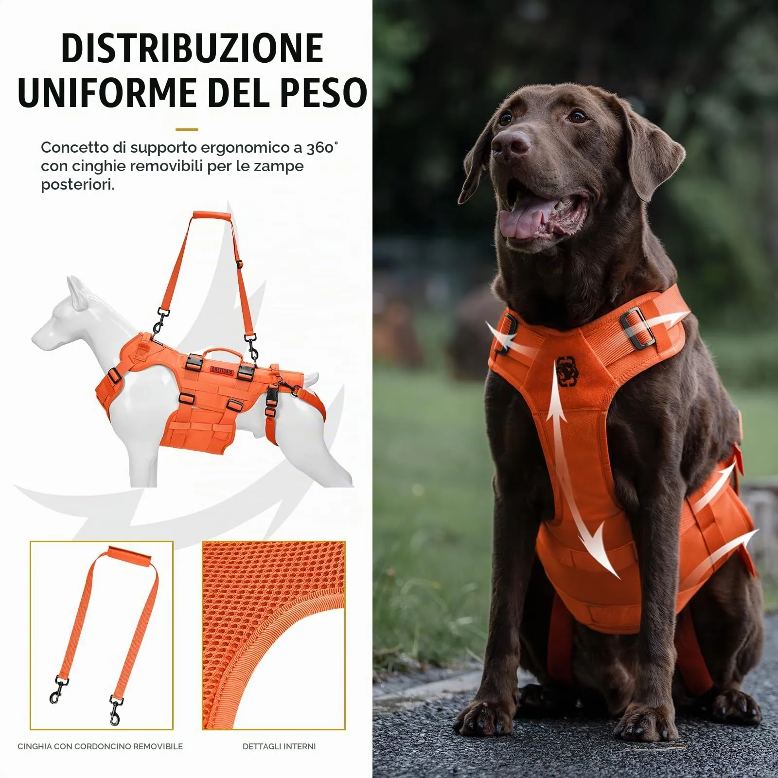 OneTigris Invictus Pettorina Supporto per Cani Regolabile, Ausilio per la Deambulazione con 3 Manici, Arancione, L - immagine 4