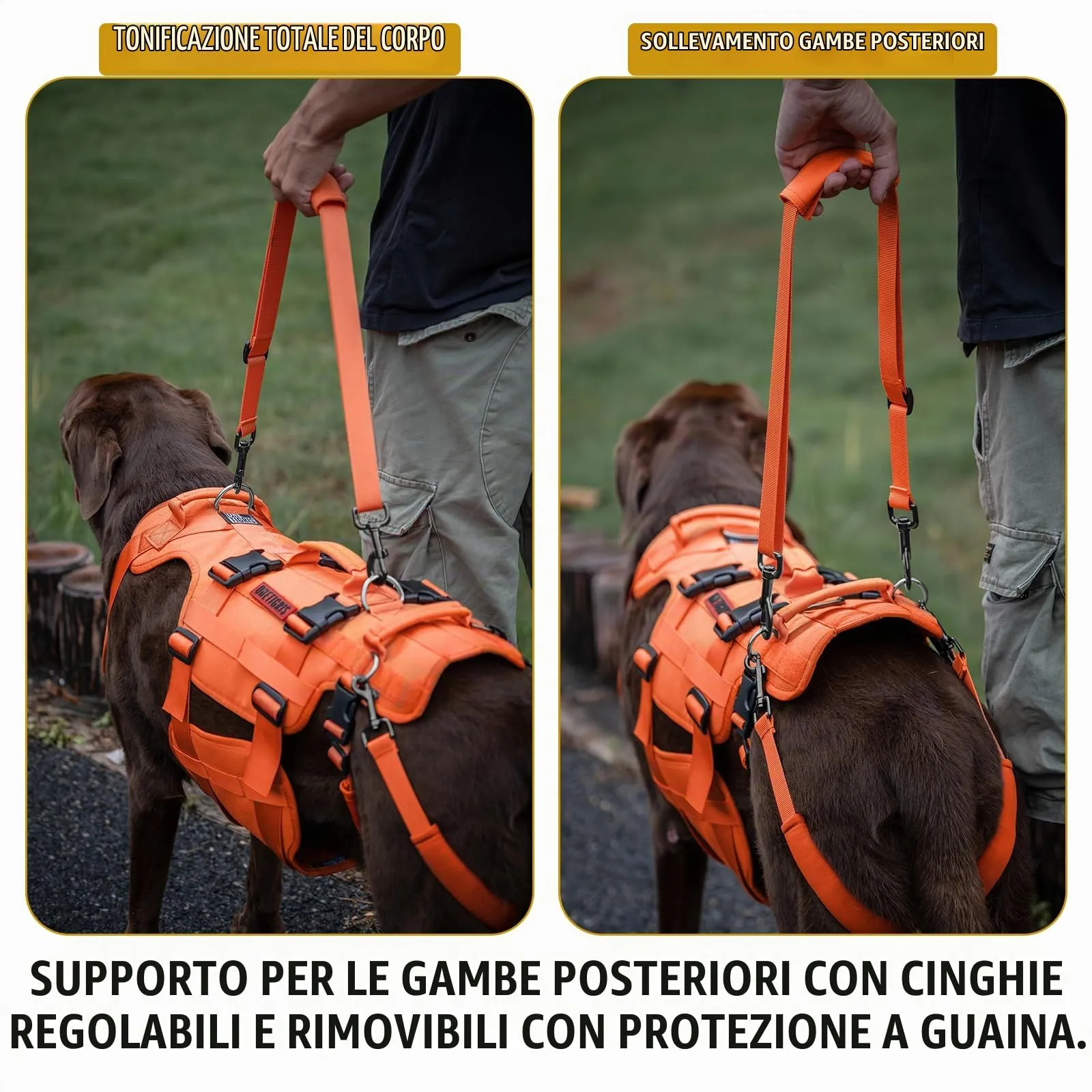 OneTigris Invictus Pettorina di Supporto per Cani di Taglia Media e Grande, Ausilio per la Deambulazione con 3 Manici, Arancione XL - immagine 7