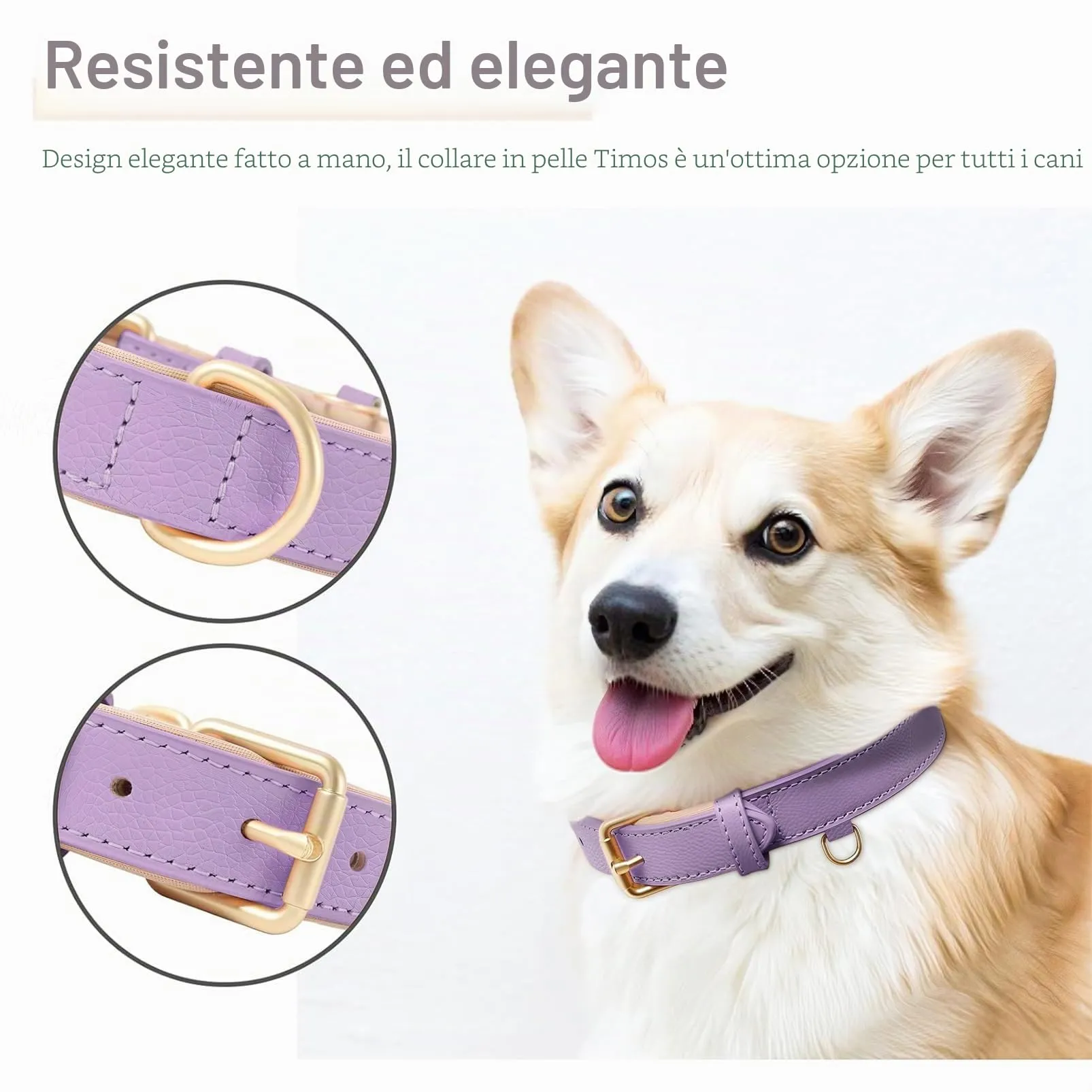 HEELE Collare Cane in Pelle Imbottito, Lilla, L - immagine 7