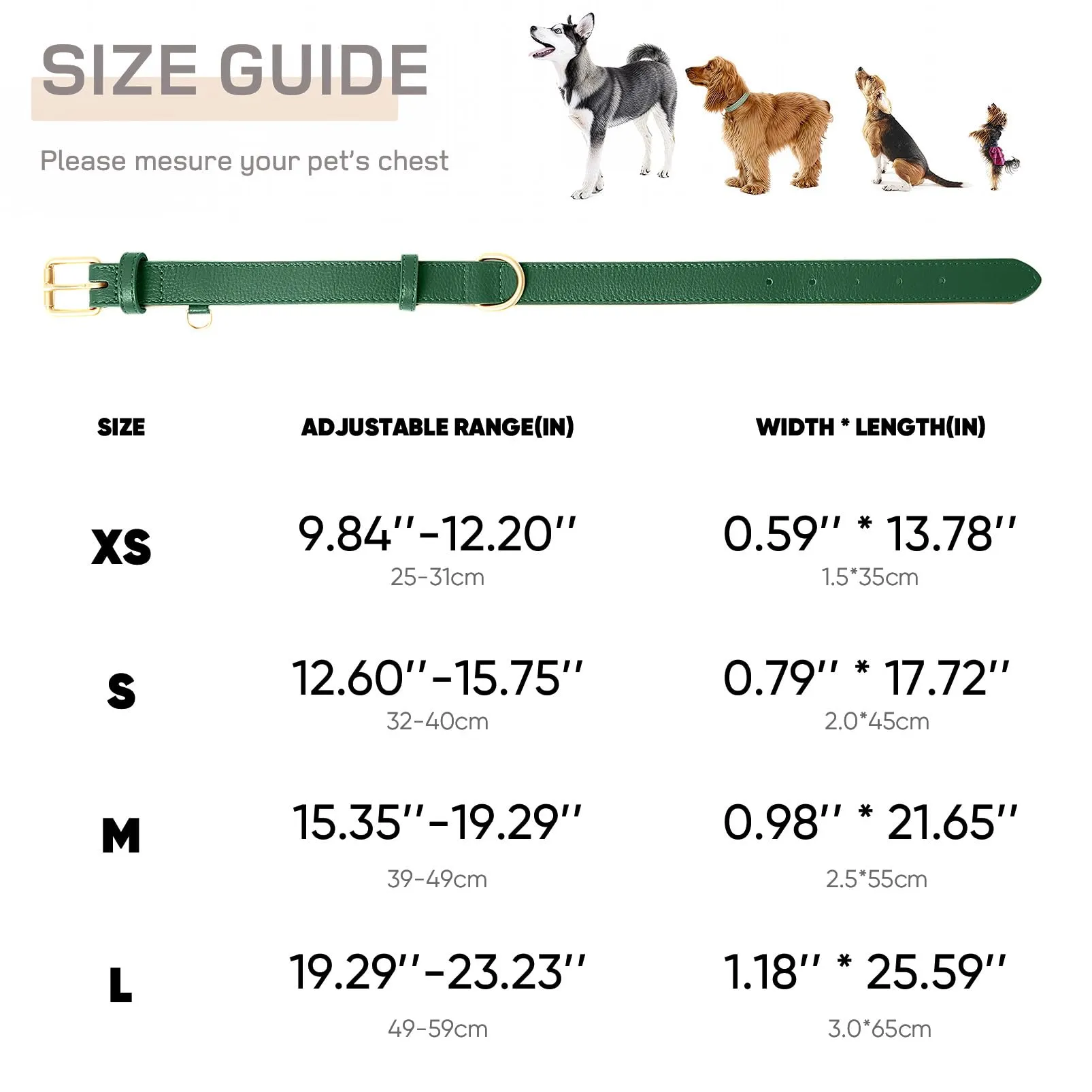 HEELE Collare in Pelle Imbottito per Cane e Gatto, Verde, XS - immagine 2