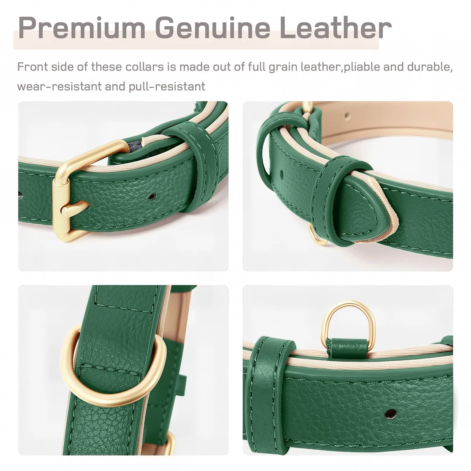 HEELE Collare in Pelle Imbottito per Cane e Gatto, Verde, XS - immagine 3