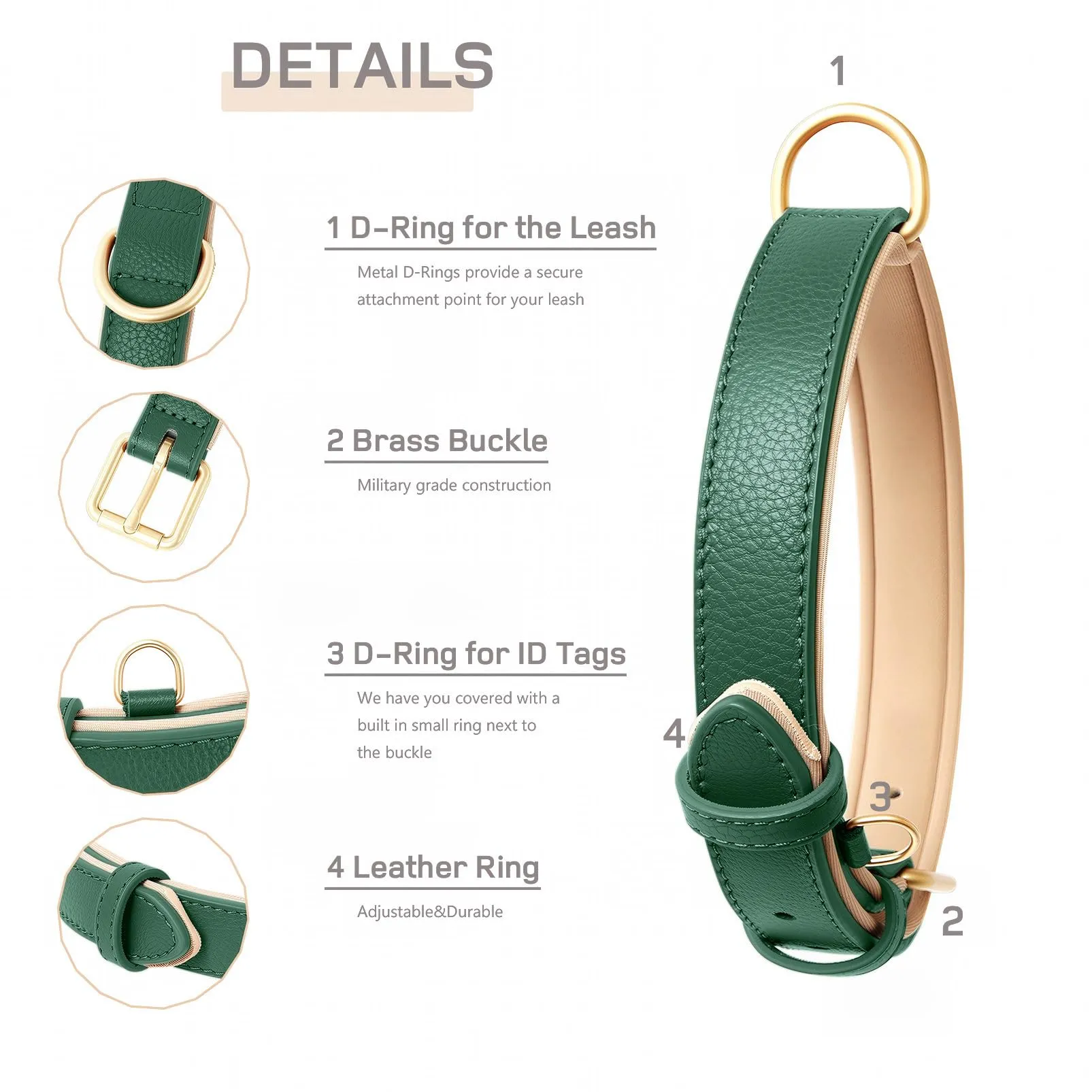 HEELE Collare in Pelle Imbottito per Cane e Gatto, Verde, XS - immagine 5