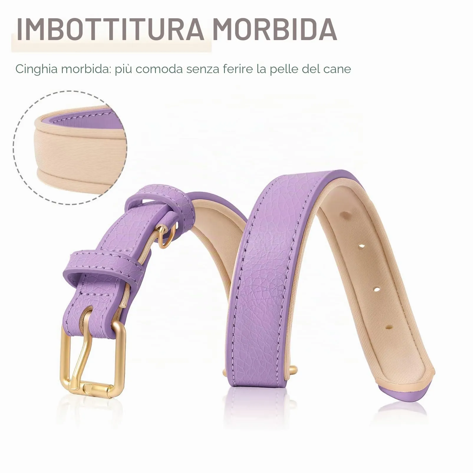 HEELE Collare Cane in Pelle Imbottito, Lilla, S - immagine 3