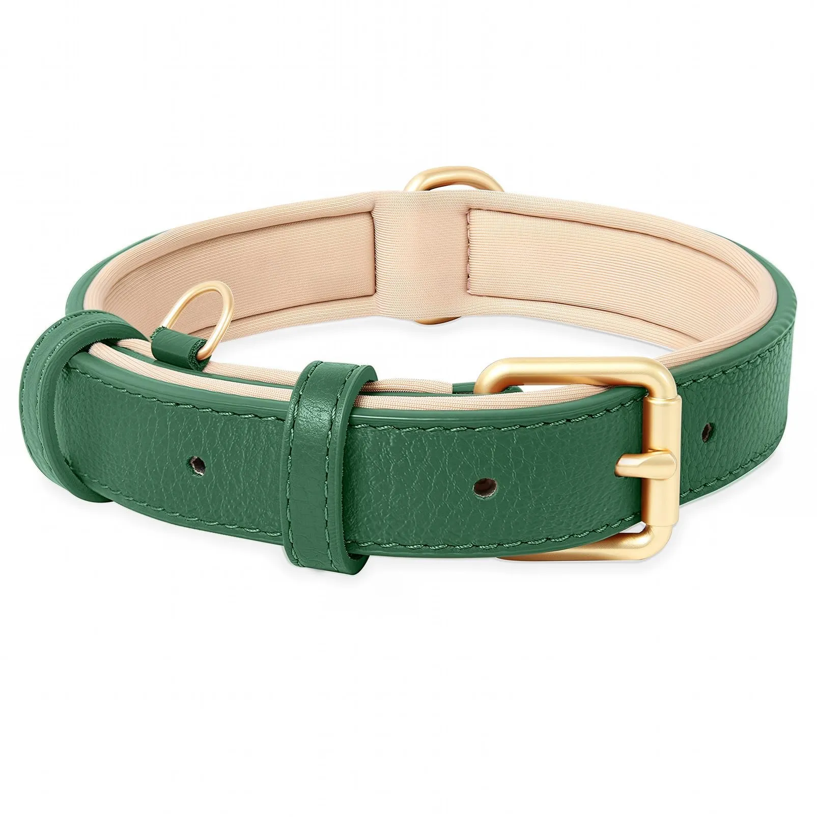 HEELE Collare Cane in Pelle Imbottito, Verde, L - immagine 1