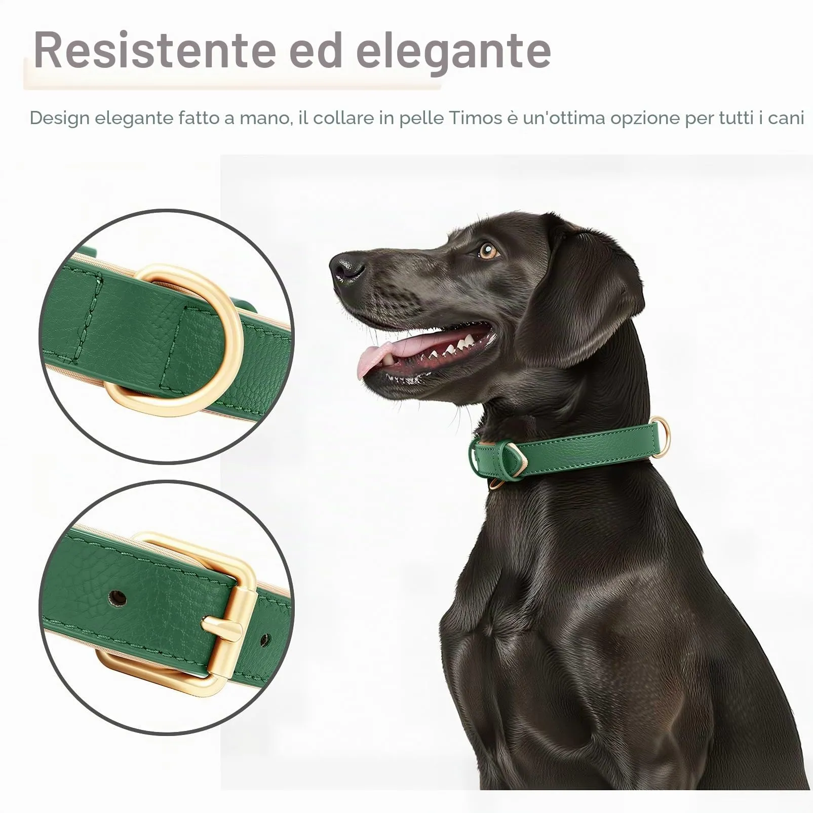 HEELE Collare Cane in Pelle Imbottito, Verde, L - immagine 5