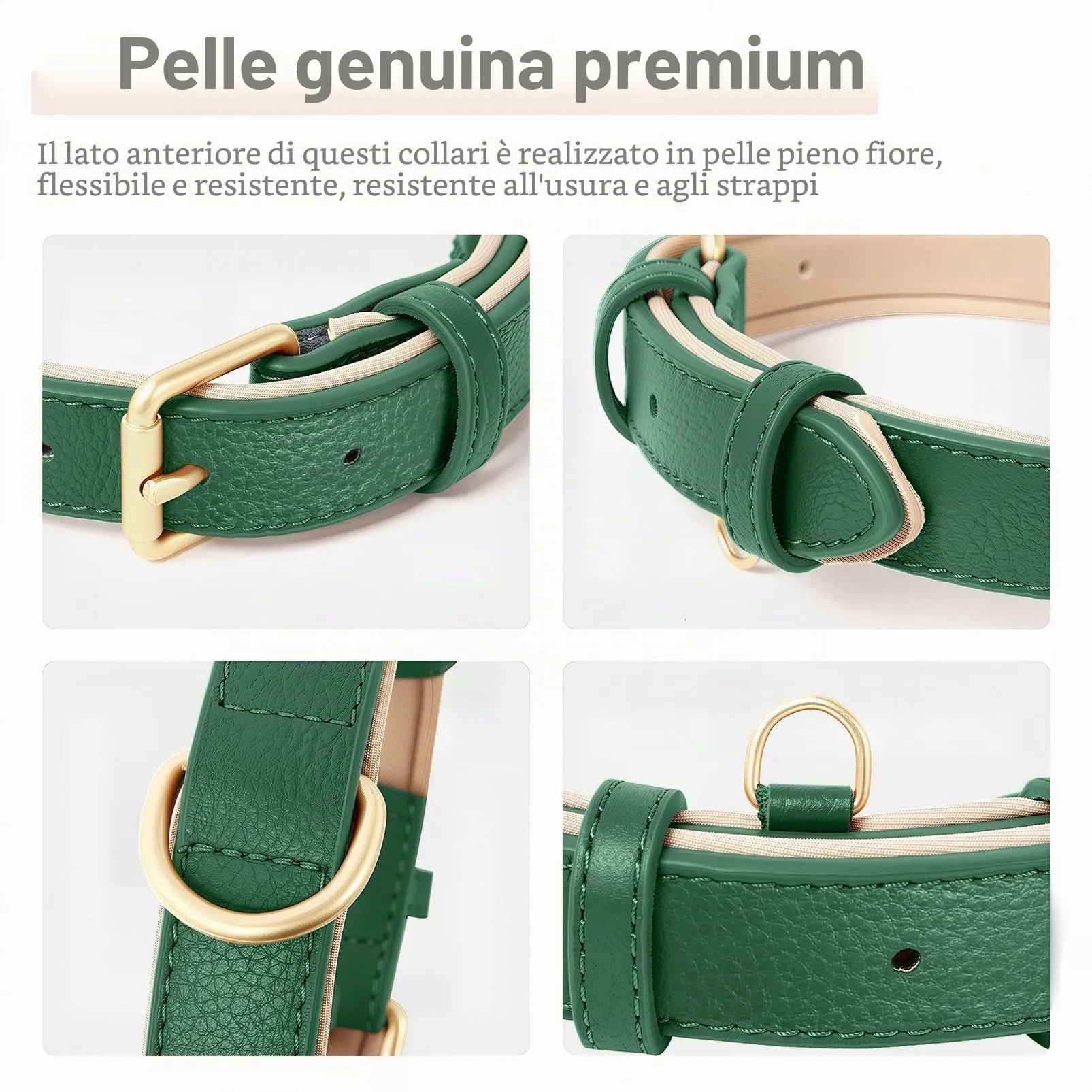 HEELE Collare Cane in Pelle Imbottito, Verde, L - immagine 6