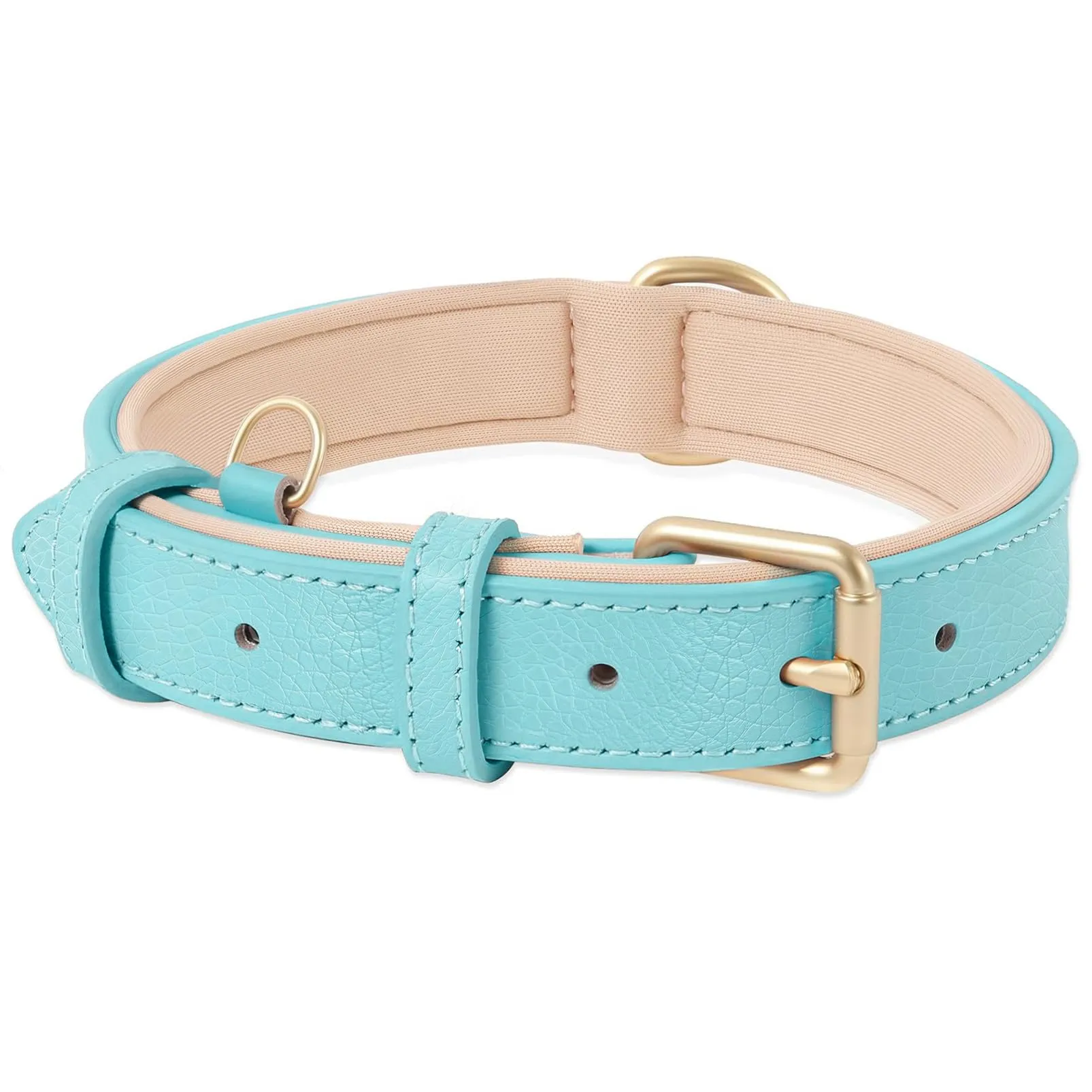 HEELE Collare Cane in Pelle Imbottito, Blu, S - immagine 1
