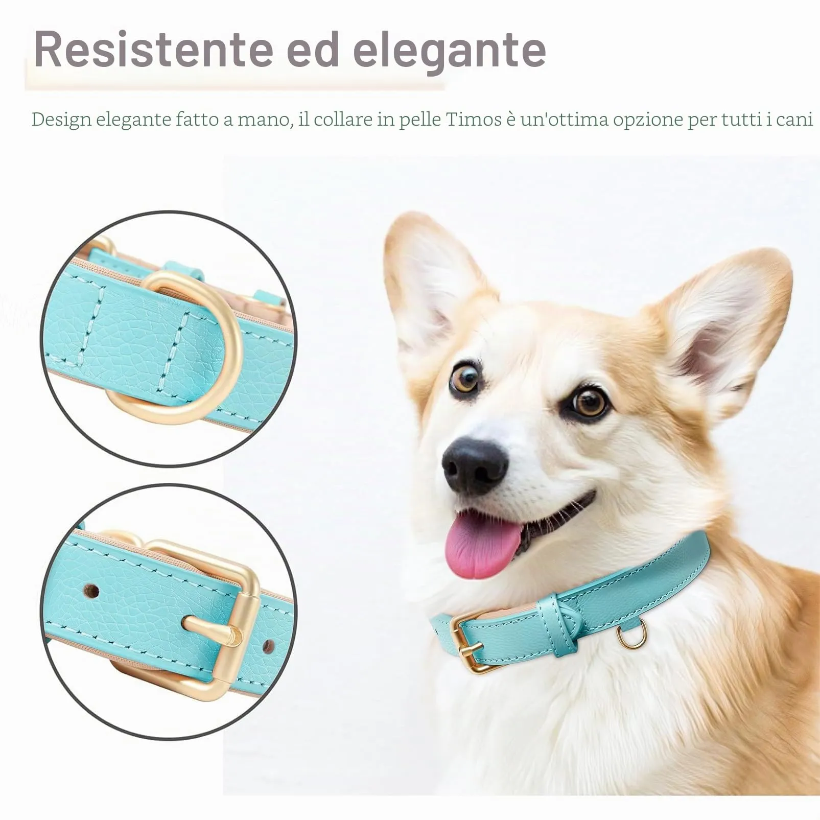 HEELE Collare Cane in Pelle Imbottito, Blu, S - immagine 4