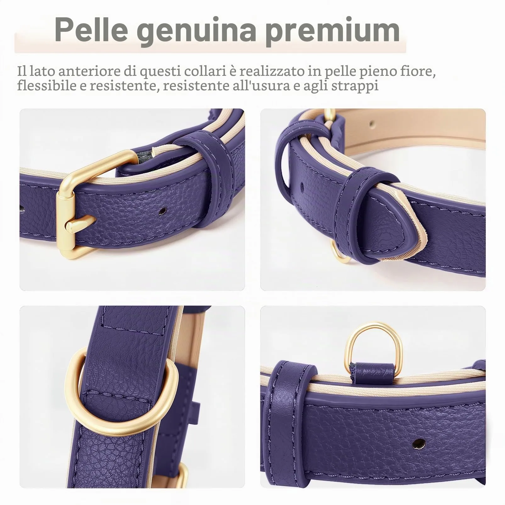 HEELE Collare Cane in Pelle con Imbottitura Morbida, Viola, M - immagine 4