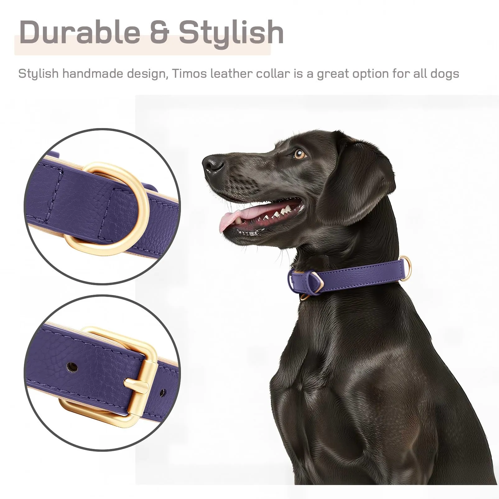 HEELE Collare in Pelle Imbottito per Cani e Gatti, Viola, XS - immagine 7