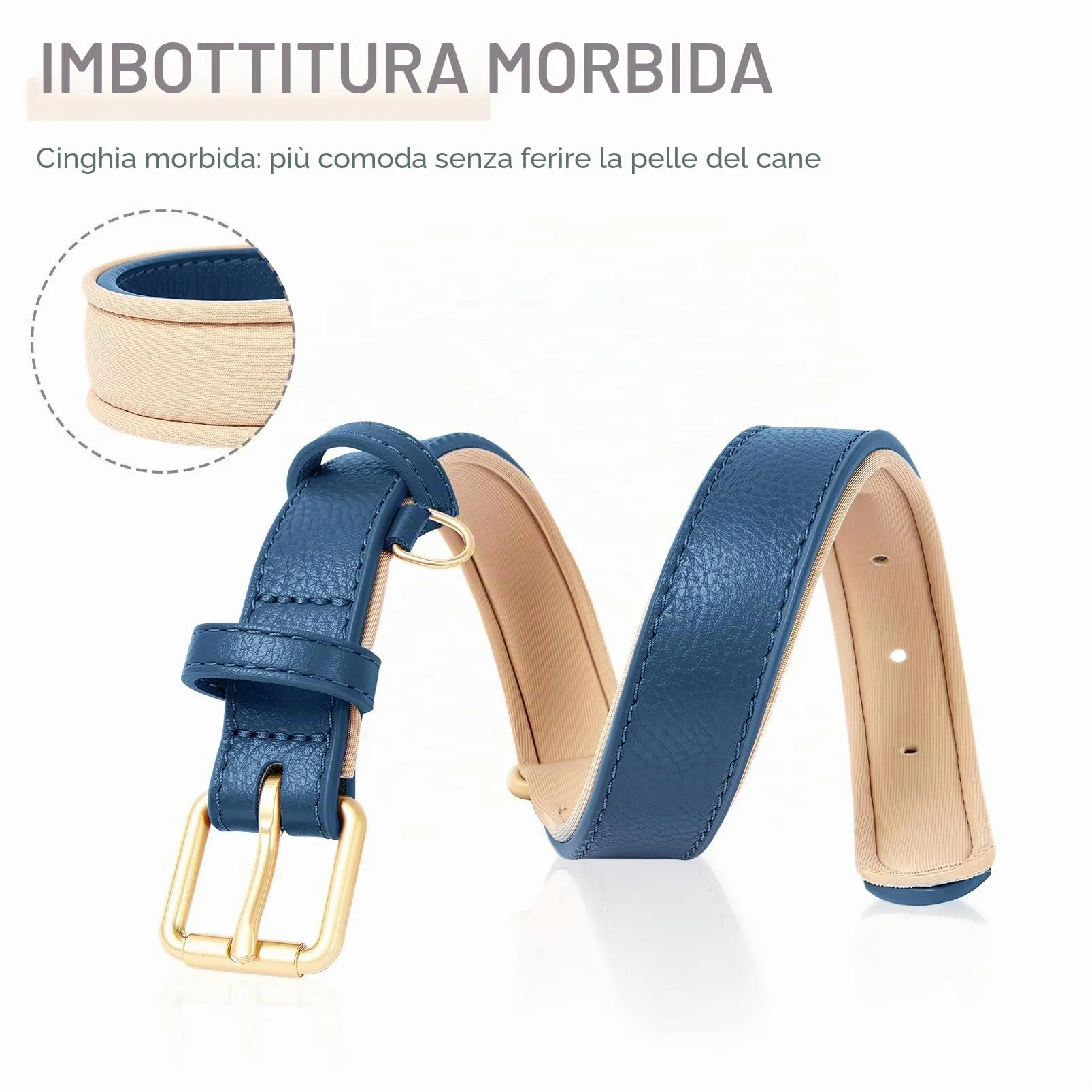HEELE Collare in Pelle Imbottito per Cani e Gatti, Blue, XS - immagine 5