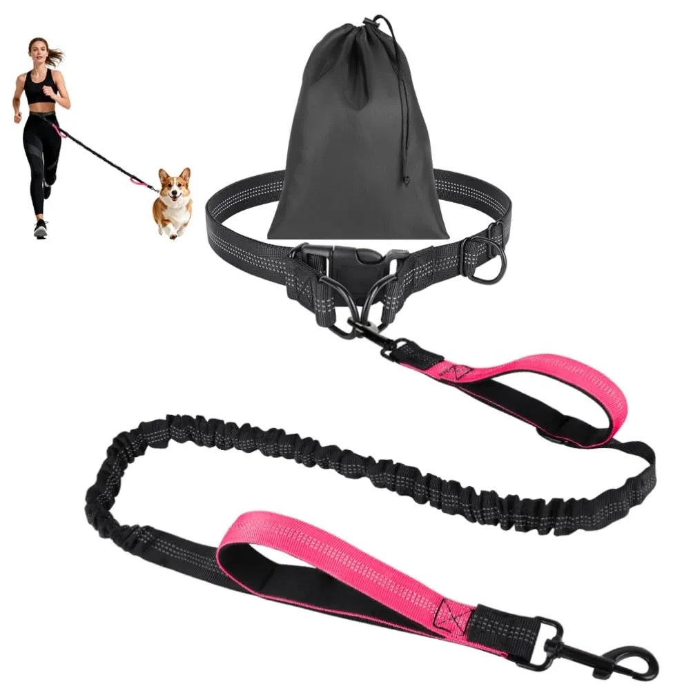 OFFCUP Guinzaglio Cani Mani Libere, Prolunga Elastica da Jogging - immagine 1