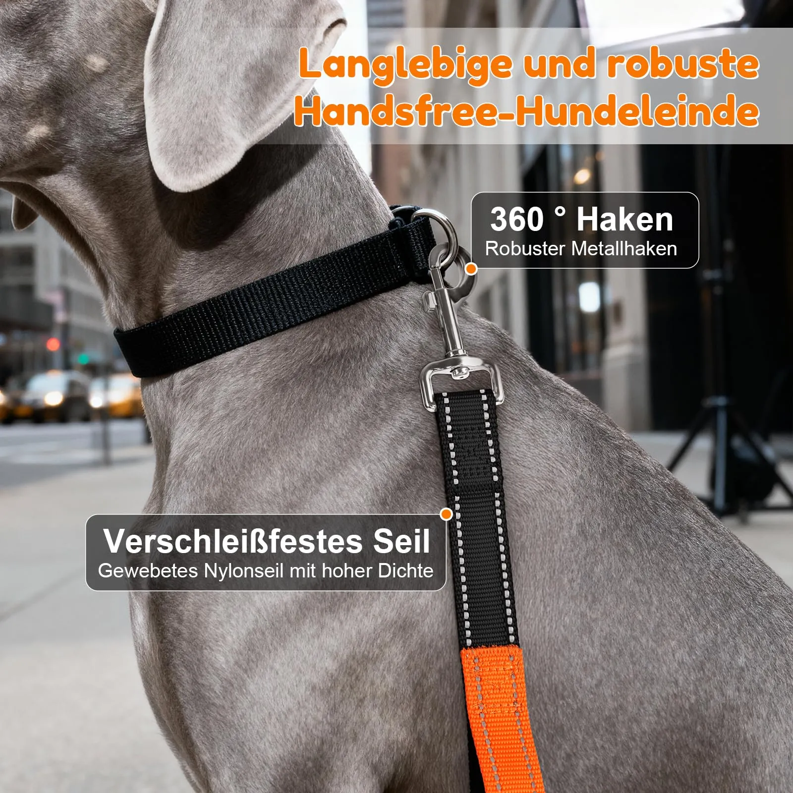 X XBEN Guinzaglio Cani Mani Libere Multifunzionale, 2,35 m, Nero - immagine 9