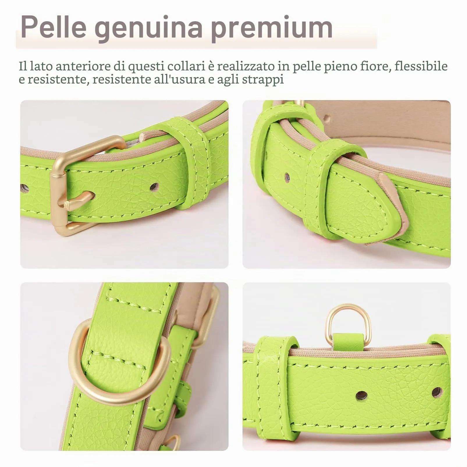 HEELE Collare Cane in Pelle Imbottito, Erba Verde, S - immagine 4