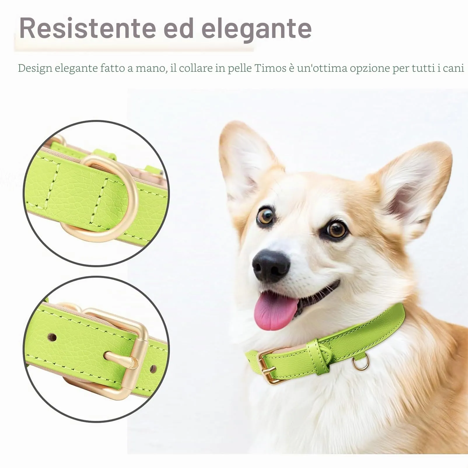 HEELE Collare Cane in Pelle Imbottito, Erba Verde, S - immagine 6