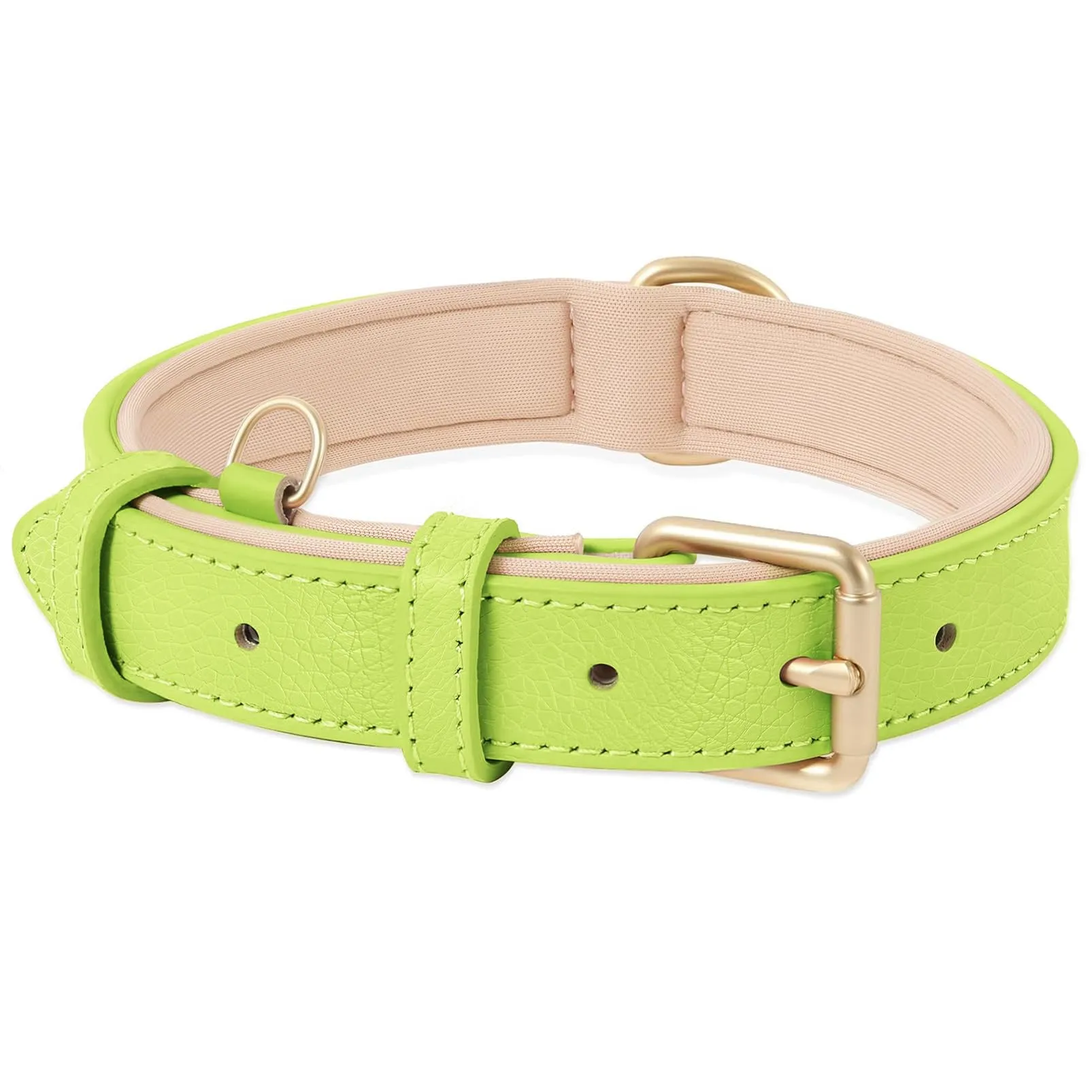 HEELE Collare Cane in Pelle Imbottito, Erba Verde, M - immagine 1