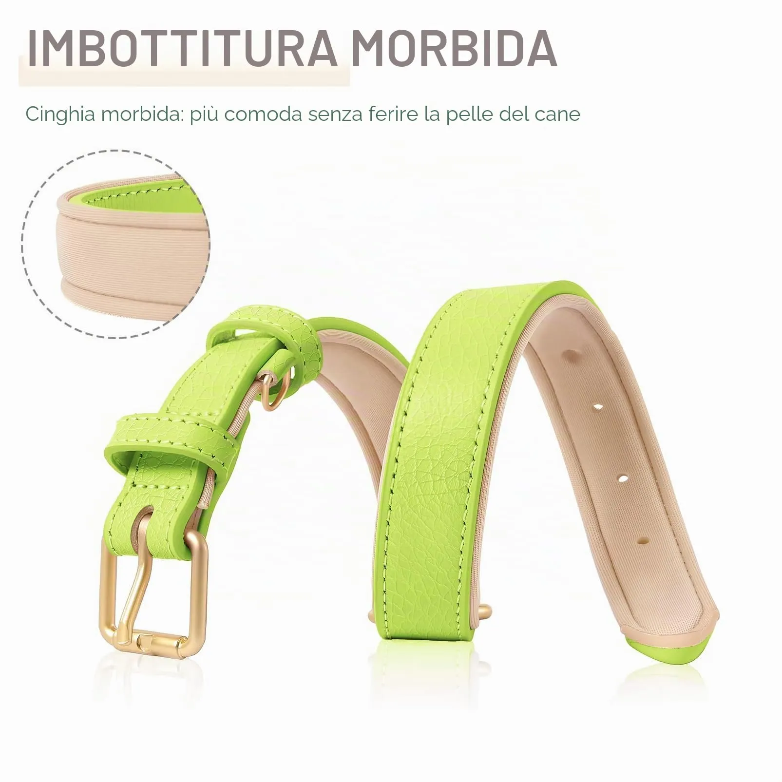 HEELE Collare Cane in Pelle Imbottito, Erba Verde, M - immagine 3