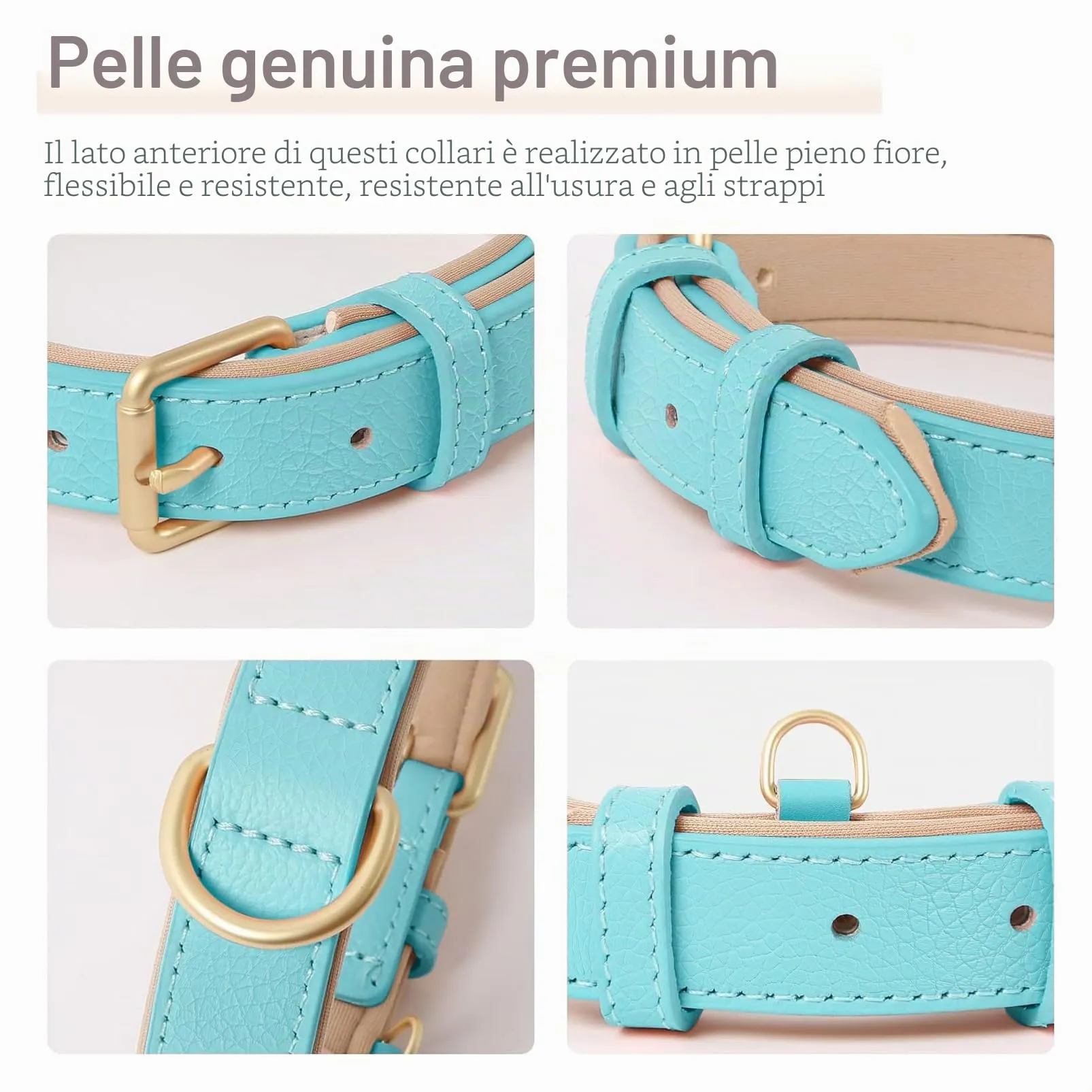 HEELE Collare Cane in Pelle Imbottito, Blu, M - immagine 4