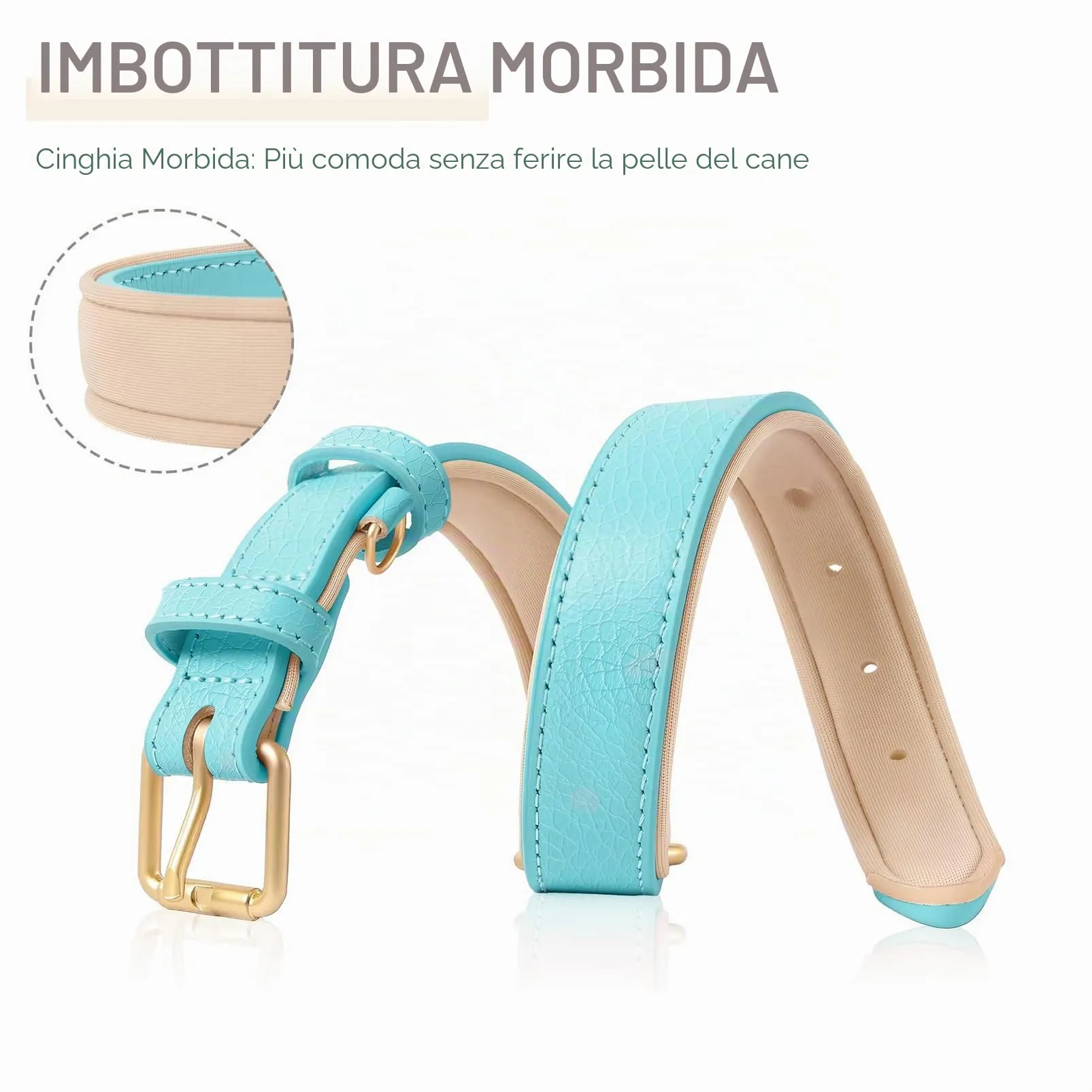 HEELE Collare Cane in Pelle Imbottito, Blu, M - immagine 6