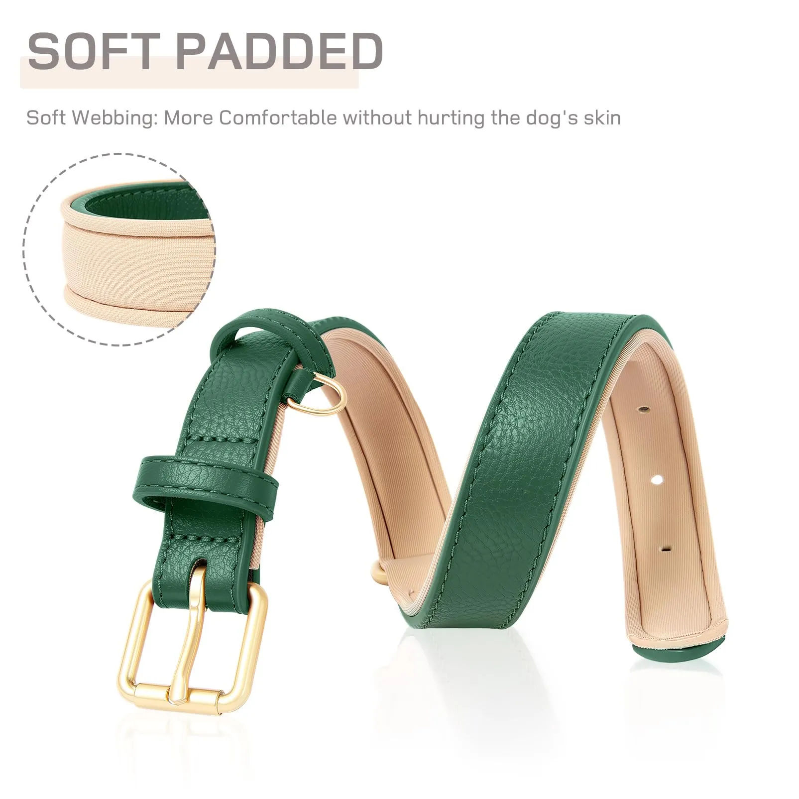 HEELE Collare Cane in Pelle Imbottito, Verde, M - immagine 4