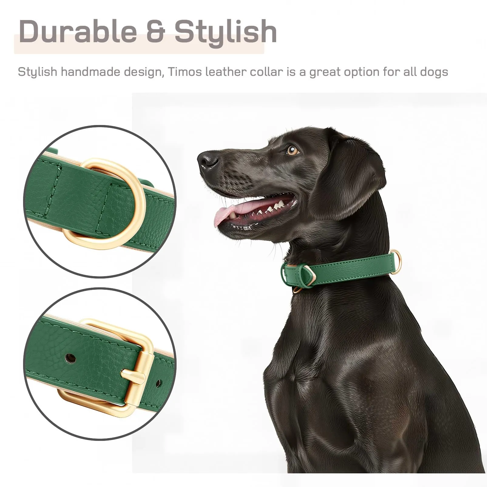 HEELE Collare Cane in Pelle Imbottito, Verde, M - immagine 6