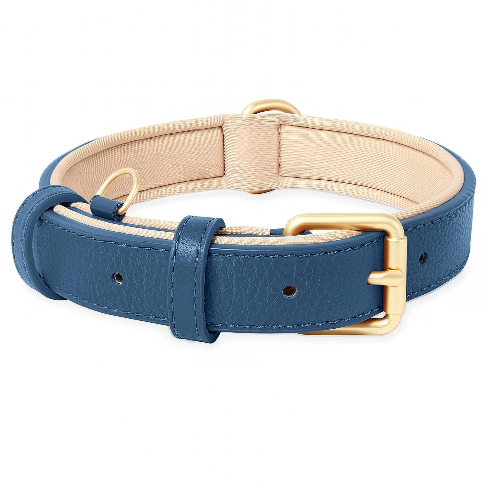 HEELE Collare Cane in Pelle Imbottito, Blue, M - immagine 1