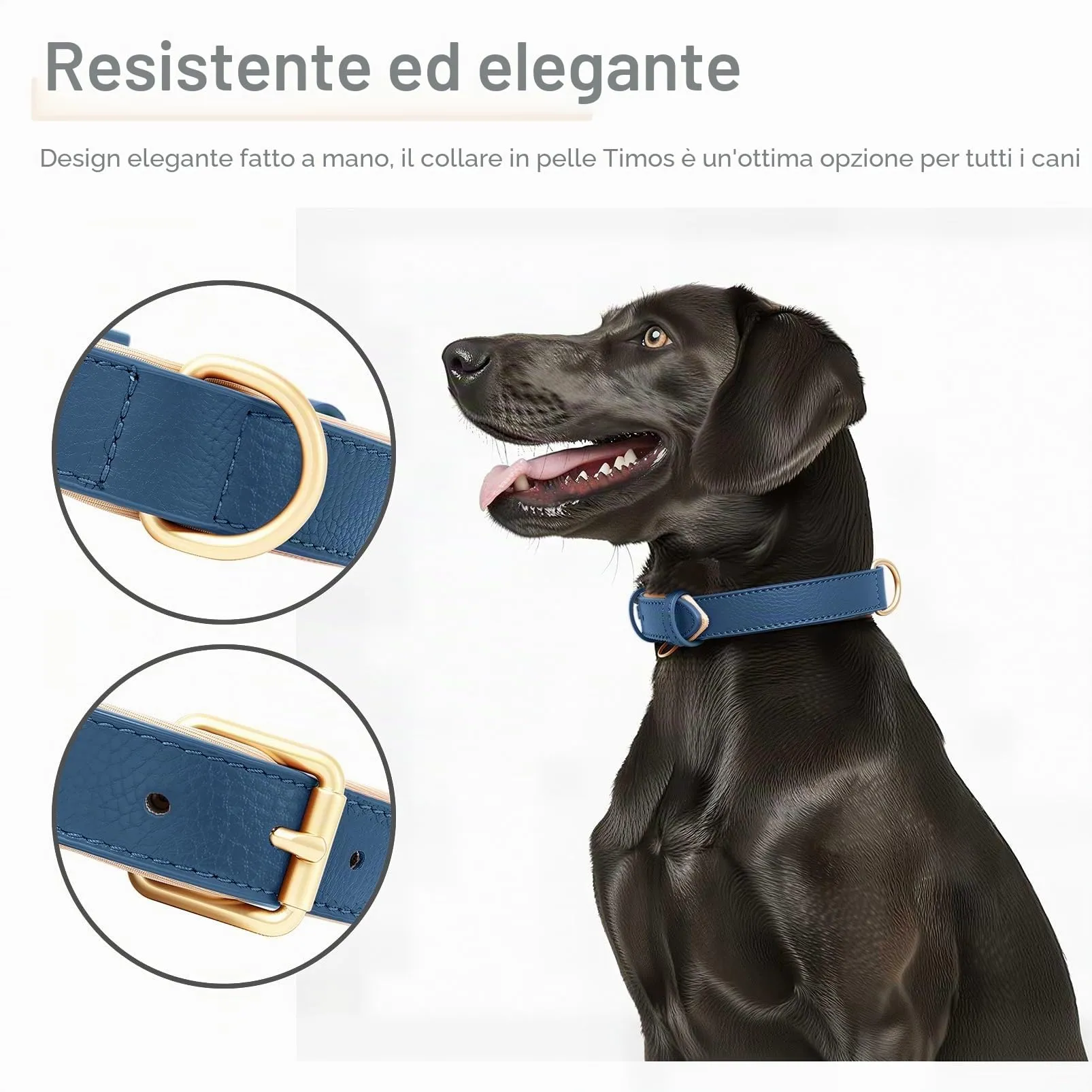 HEELE Collare Cane in Pelle Imbottito, Blue, S - immagine 7