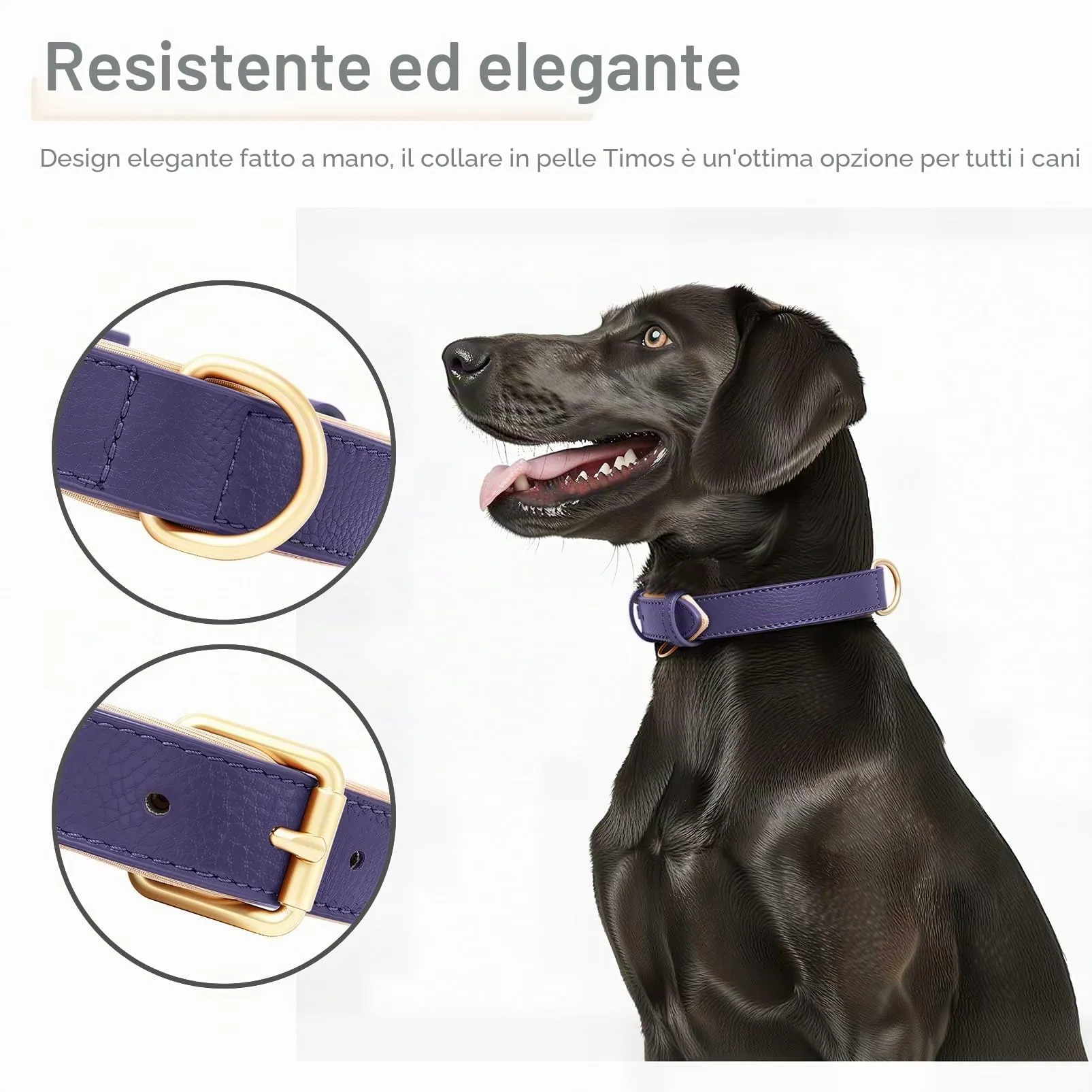 HEELE Collare Cane in Pelle Imbottito, Viola, S - immagine 7