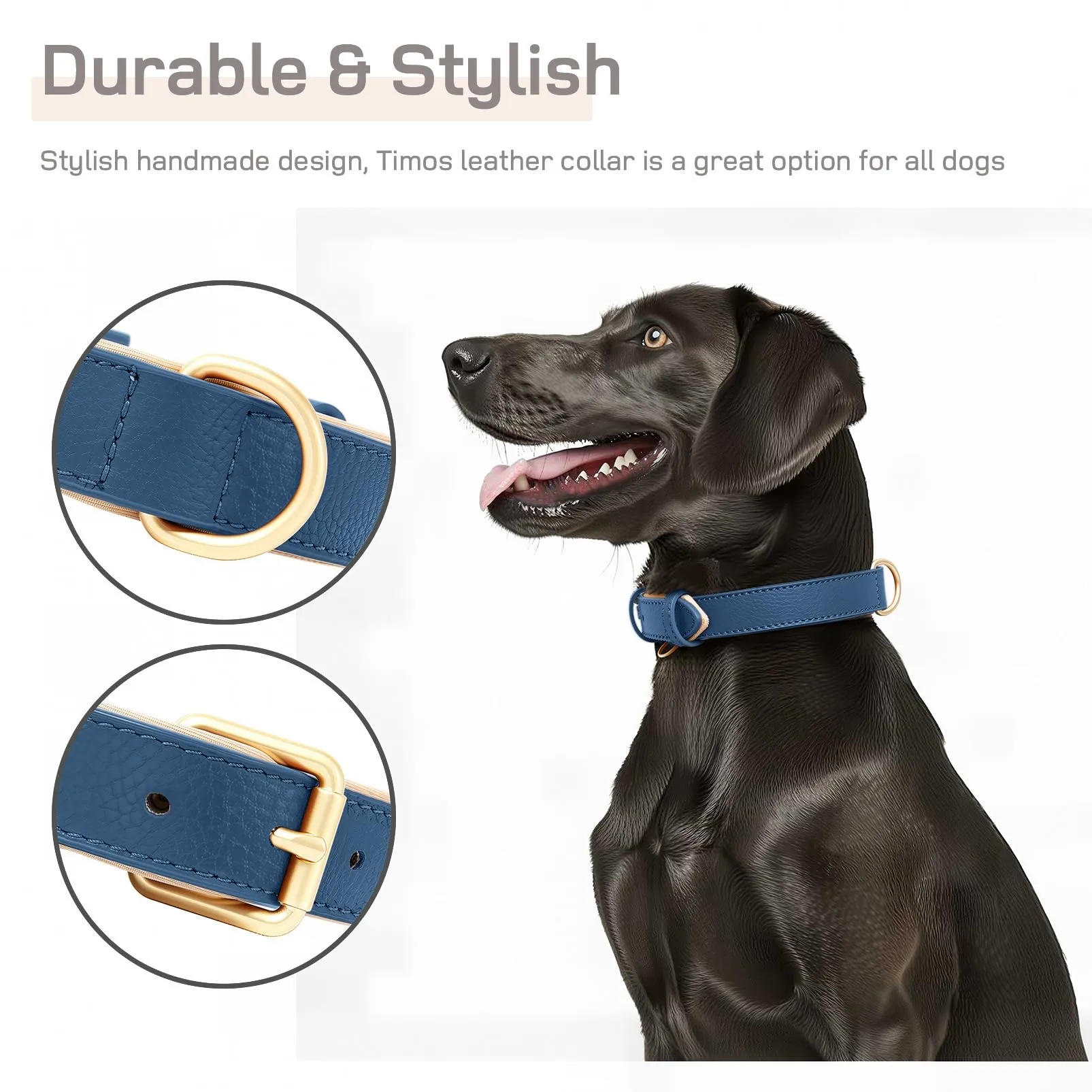 HEELE Collare Cane in Pelle con Imbottitura Morbida, Blue, L - immagine 3