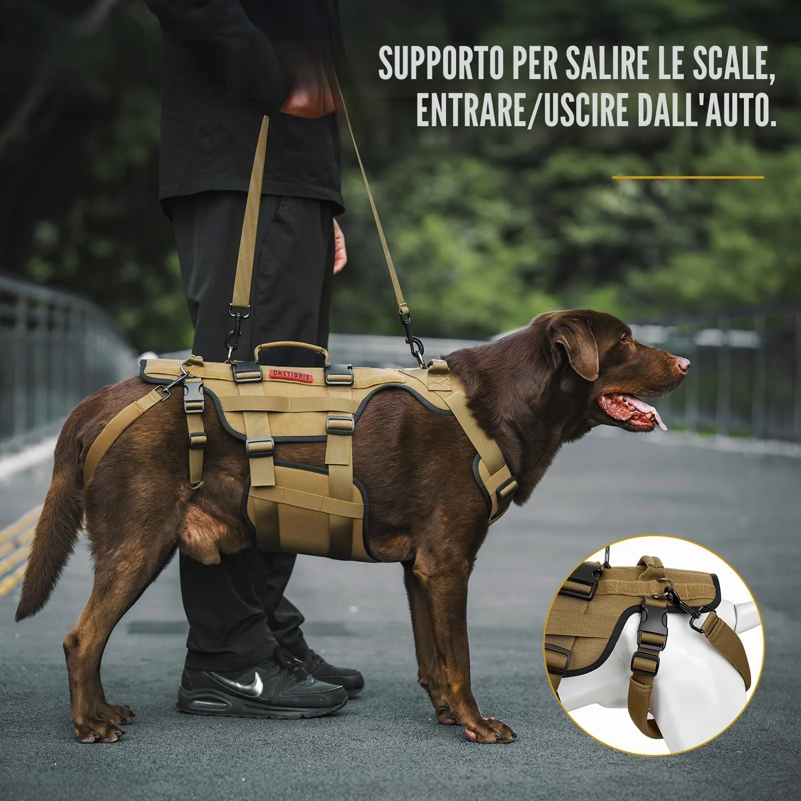 OneTigris Invictus Aiuto al Trasporto per Cani di Taglia Media e Grande, Imbracatura di Supporto con 3 Maniglie per Cani Disabili, Feriti o Anziani, Marrone, L - immagine 5