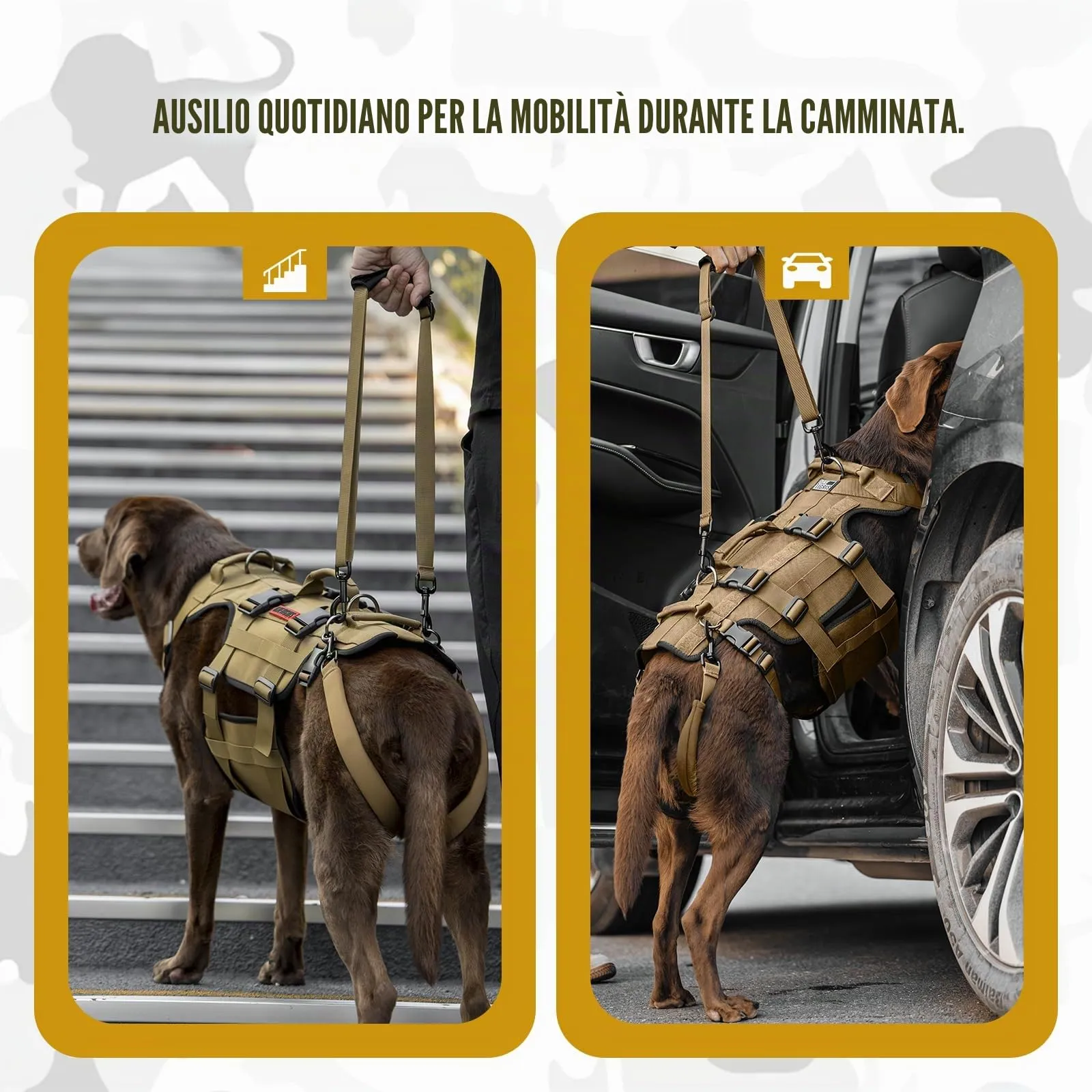OneTigris Invictus Imbracatura di aiuto al trasporto per cani di taglia media e grande, aiuto alla camminata regolabile con 3 maniglie, Marrone XL - immagine 6
