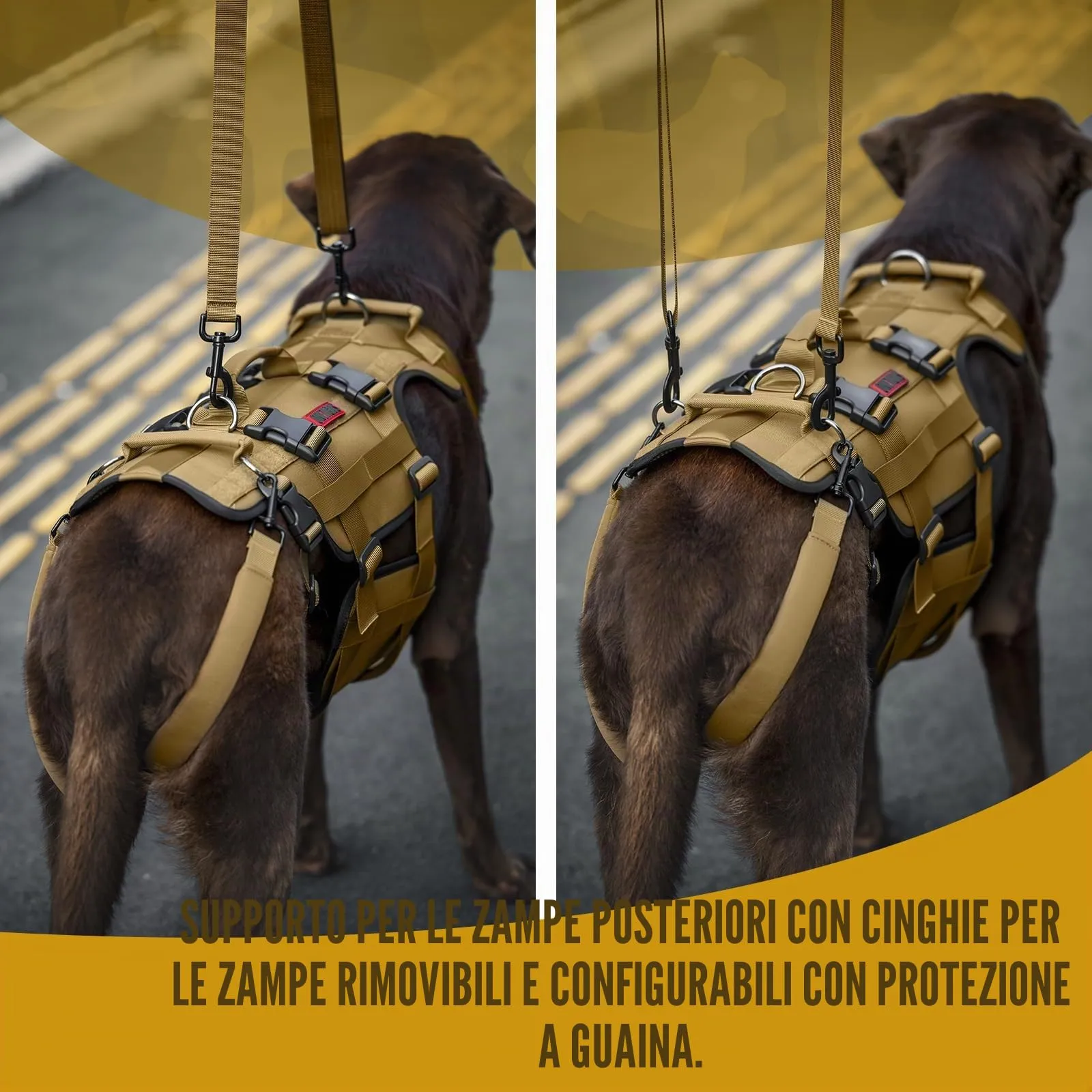 OneTigris Invictus Imbracatura di aiuto al trasporto per cani di taglia media e grande, aiuto alla camminata regolabile con 3 maniglie, Marrone XL - immagine 7