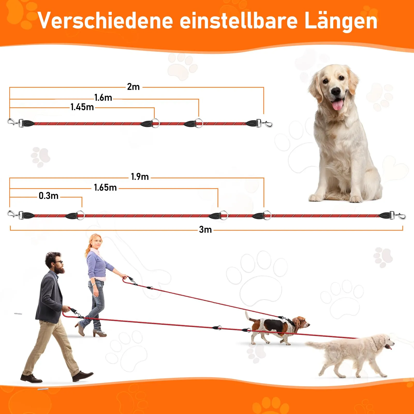 Aystkniet Guinzaglio per cani regolabile 2m, Nylon Riflettente per cani medio-grandi - immagine 7