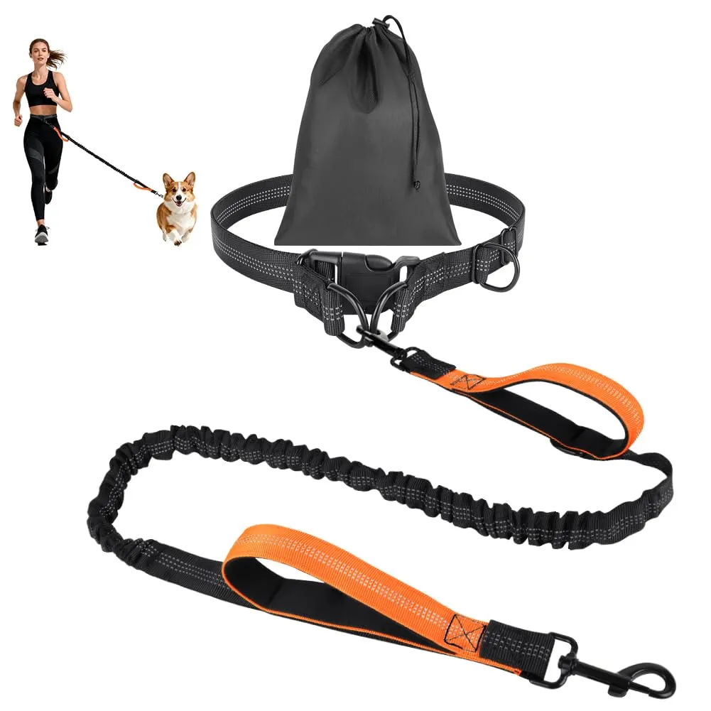 OFFCUP Guinzaglio Cani Mani Libere, Guinzaglio Da Jogging Prolunga Elastica, 124 cm, Arancione - immagine 1