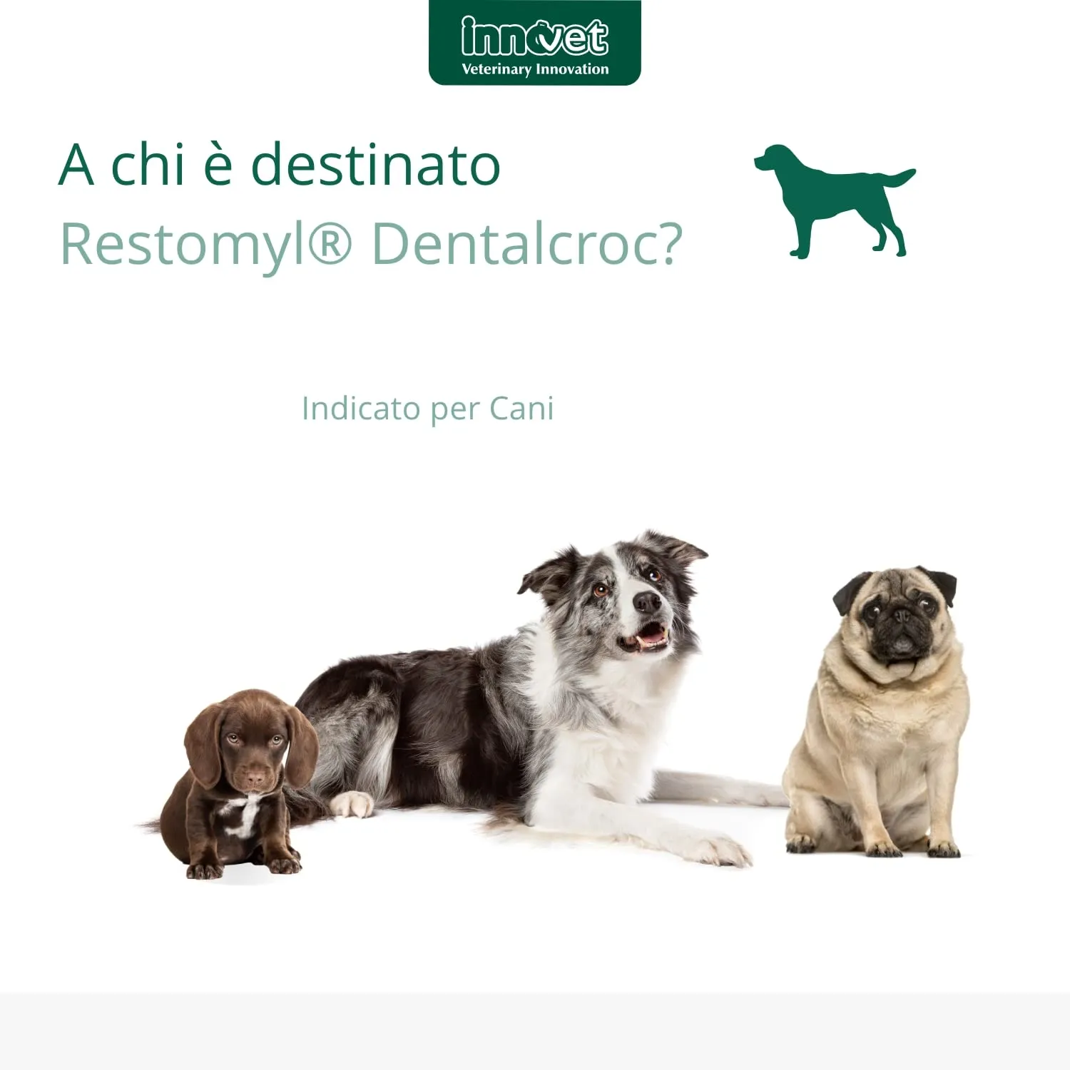 Innovet Restomyl Dentalcroc per Cani, 60 g - immagine 4
