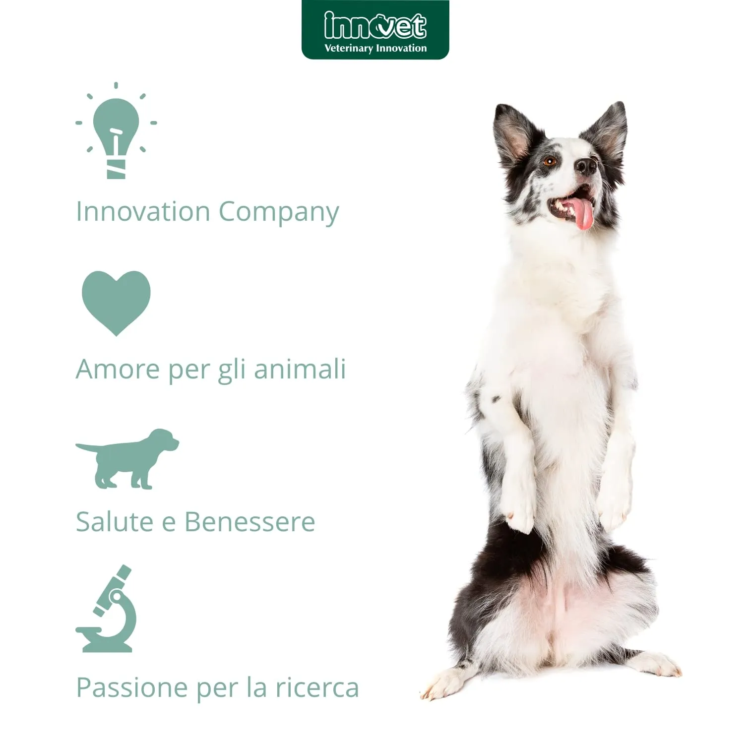 Innovet Restomyl Dentalcroc per Cani, 60 g - immagine 7