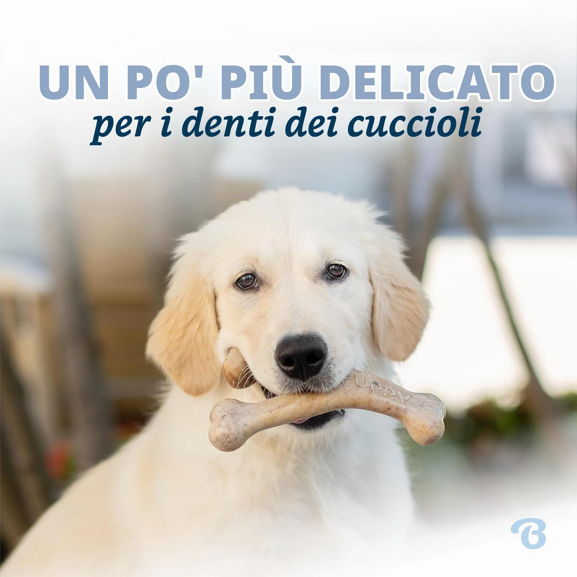 Benebone Wishbone Gioco da Masticare al Bacon, Cucciolo Medio - immagine 2