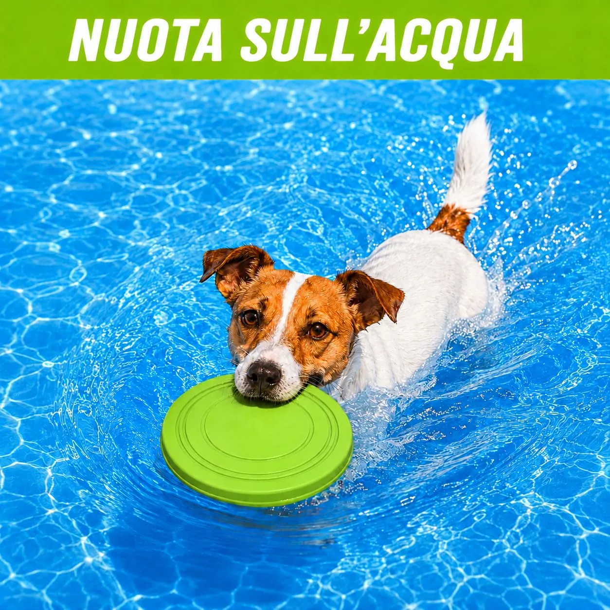 JAPORIA Frisbee per Cani in Gomma Morbida, 2 Pezzi, Blu e Verde - immagine 4