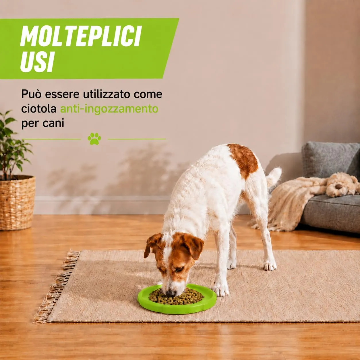 JAPORIA Frisbee per Cani in Gomma Morbida, 2 Pezzi, Blu e Verde - immagine 5