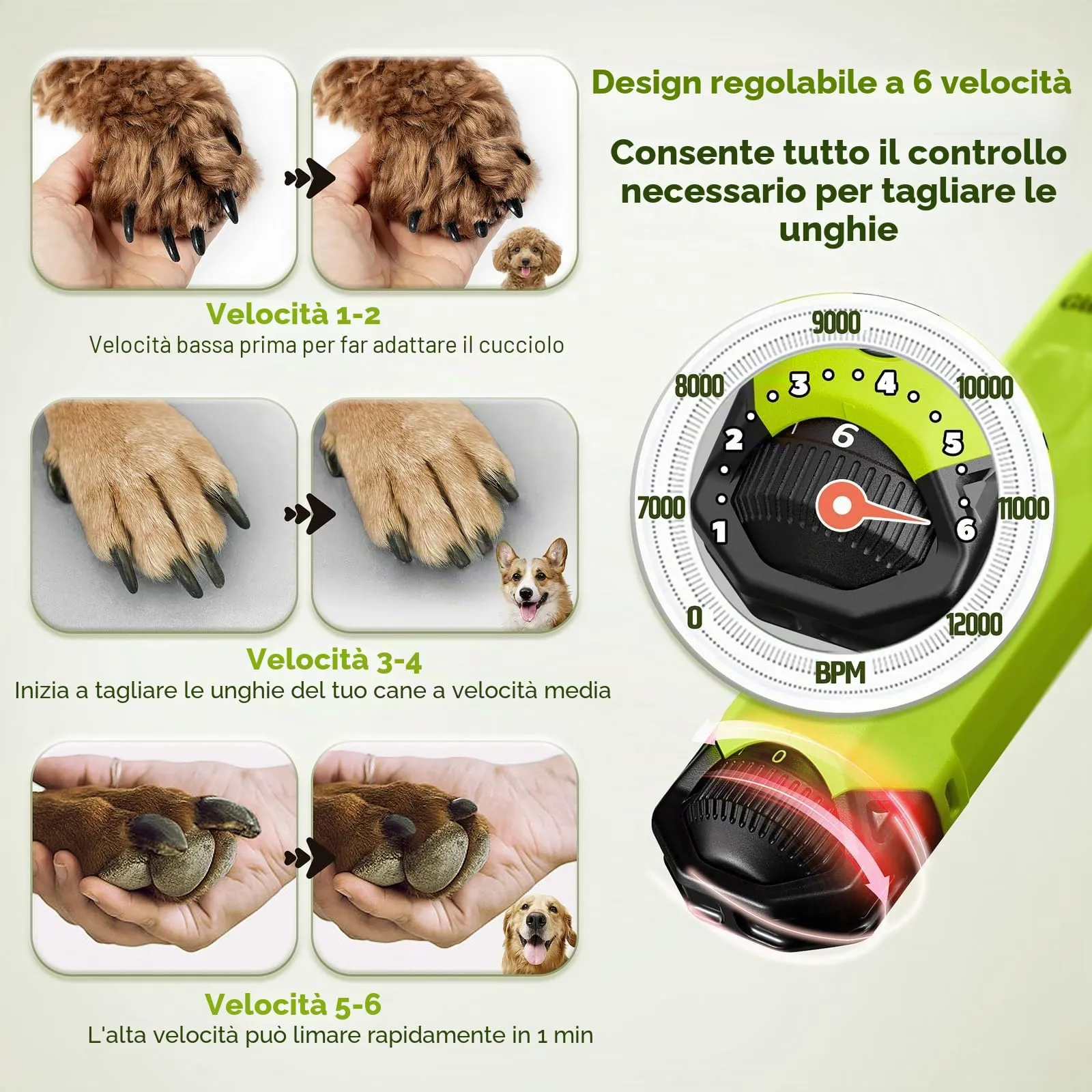 Gimars Lima Unghie Elettrica per Cani, 6 Velocità, Luce LED, Ricaricabile USB, 3 Testine, Verde - immagine 2