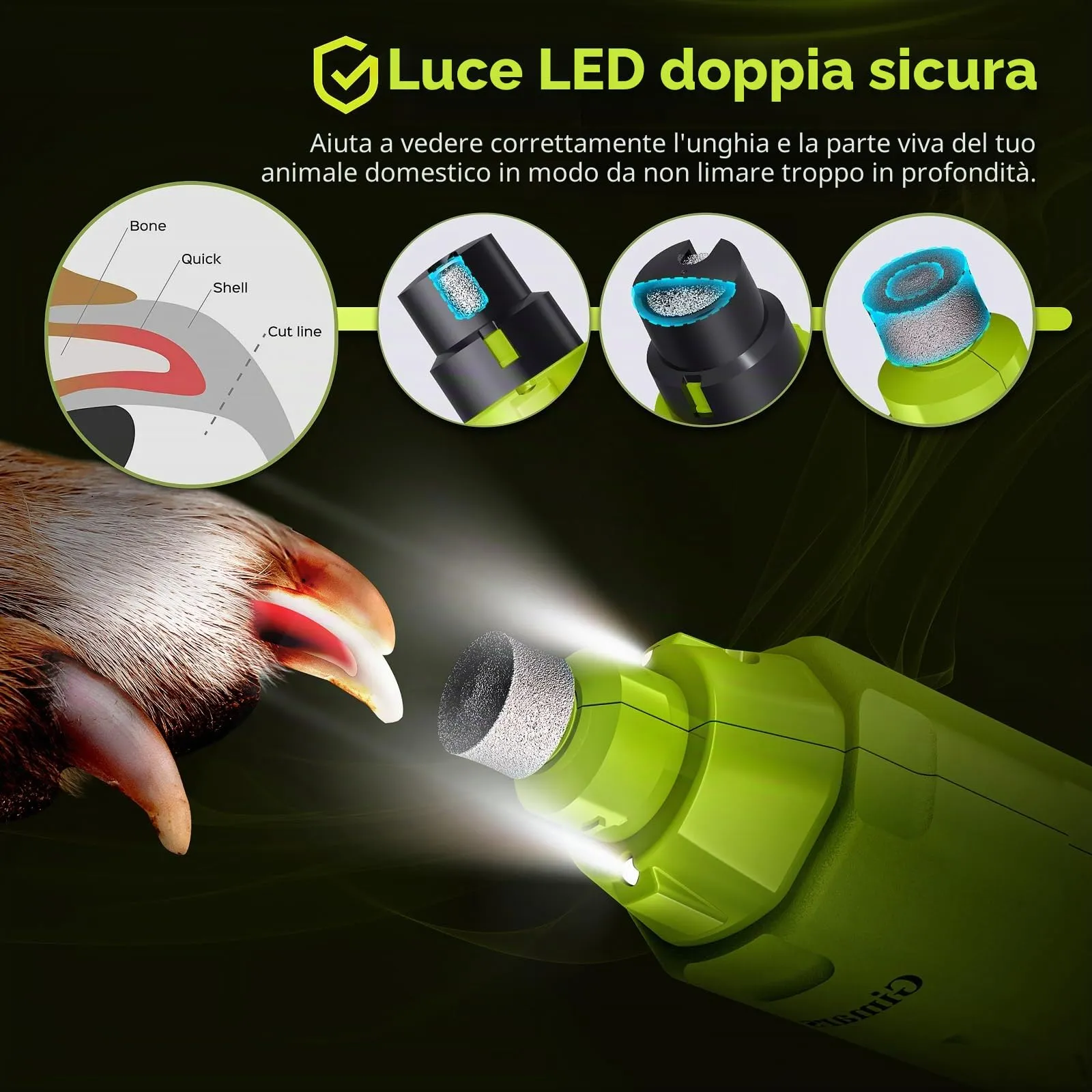 Gimars Lima Unghie Elettrica per Cani, 6 Velocità, Luce LED, Ricaricabile USB, 3 Testine, Verde - immagine 4
