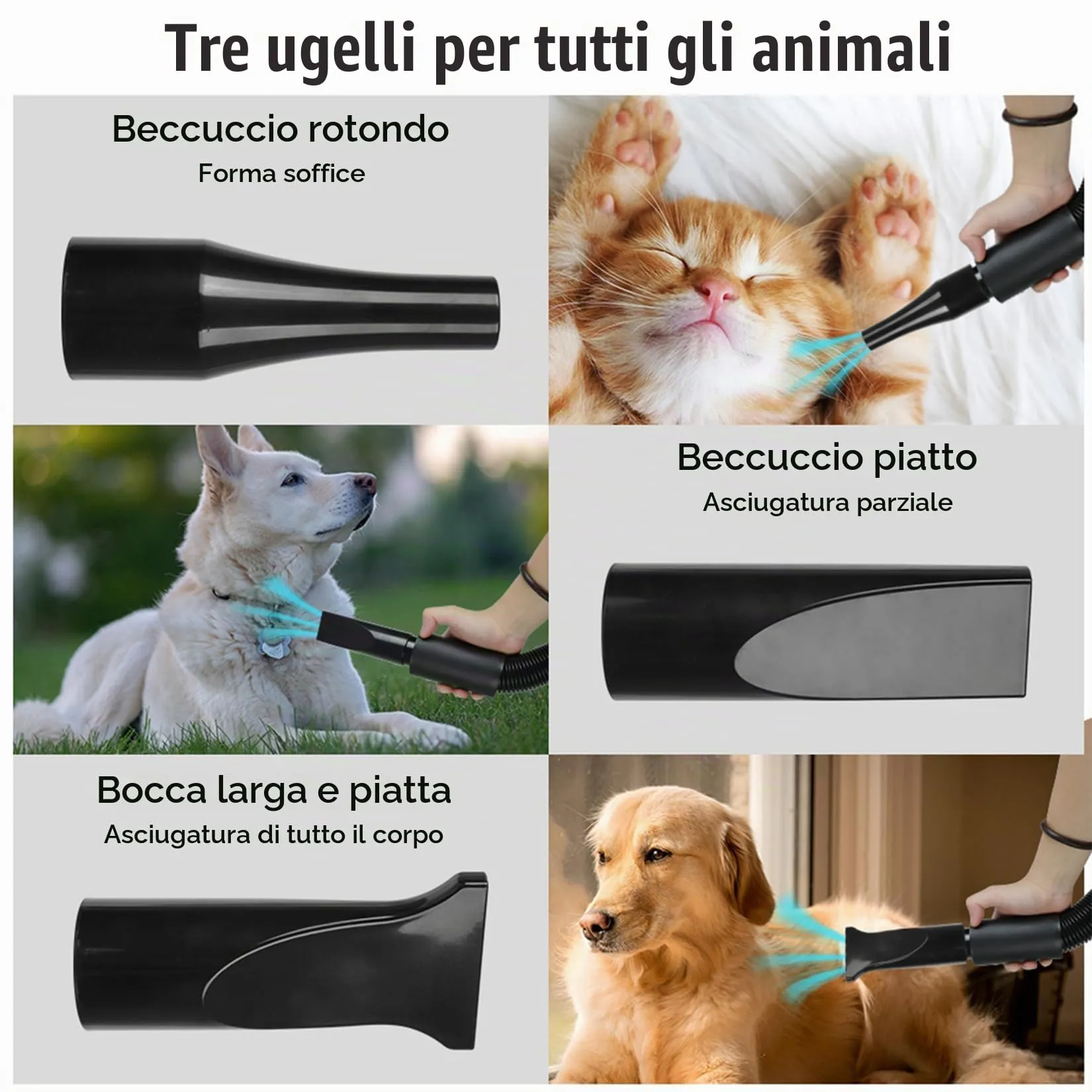 Memows Soffiatore Asciugacapelli per Cani 2800W con 4 Ugelli, Velocità e Temperatura Regolabili (Blu) - immagine 4