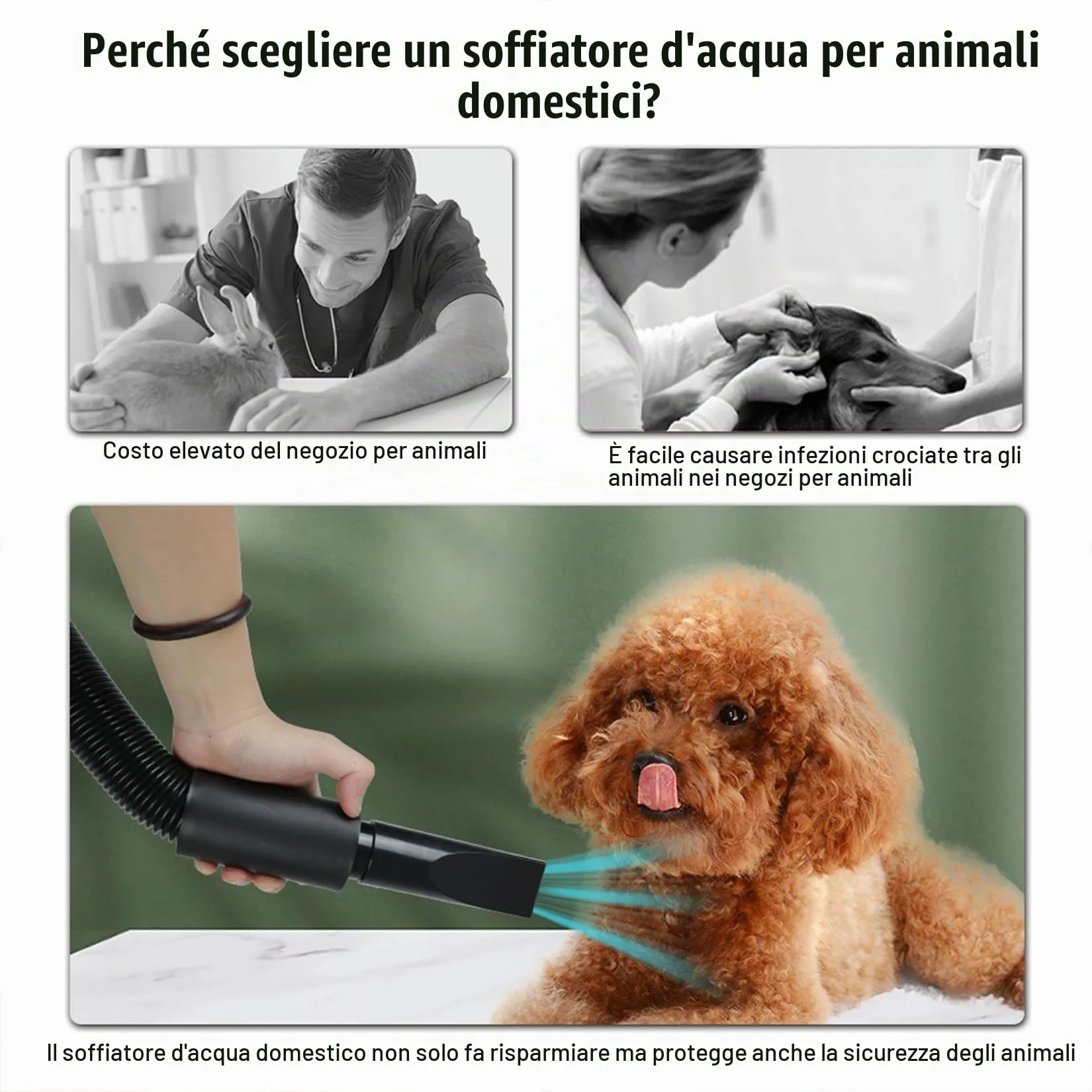 Memows Soffiatore Asciugacapelli per Cani 2800W con 4 Ugelli, Velocità e Temperatura Regolabili (Blu) - immagine 7