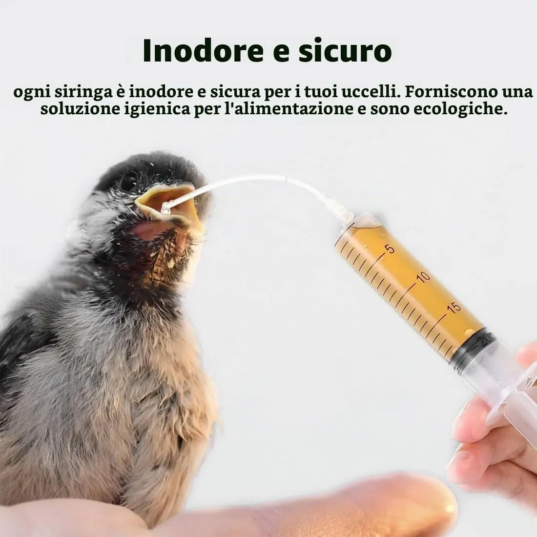 YIPFEN Kit Alimentazione Manuale per Uccelli, 2 Siringhe da 10 ml e 10 Tubi Flessibili per Pappagalli e Colombi - immagine 5