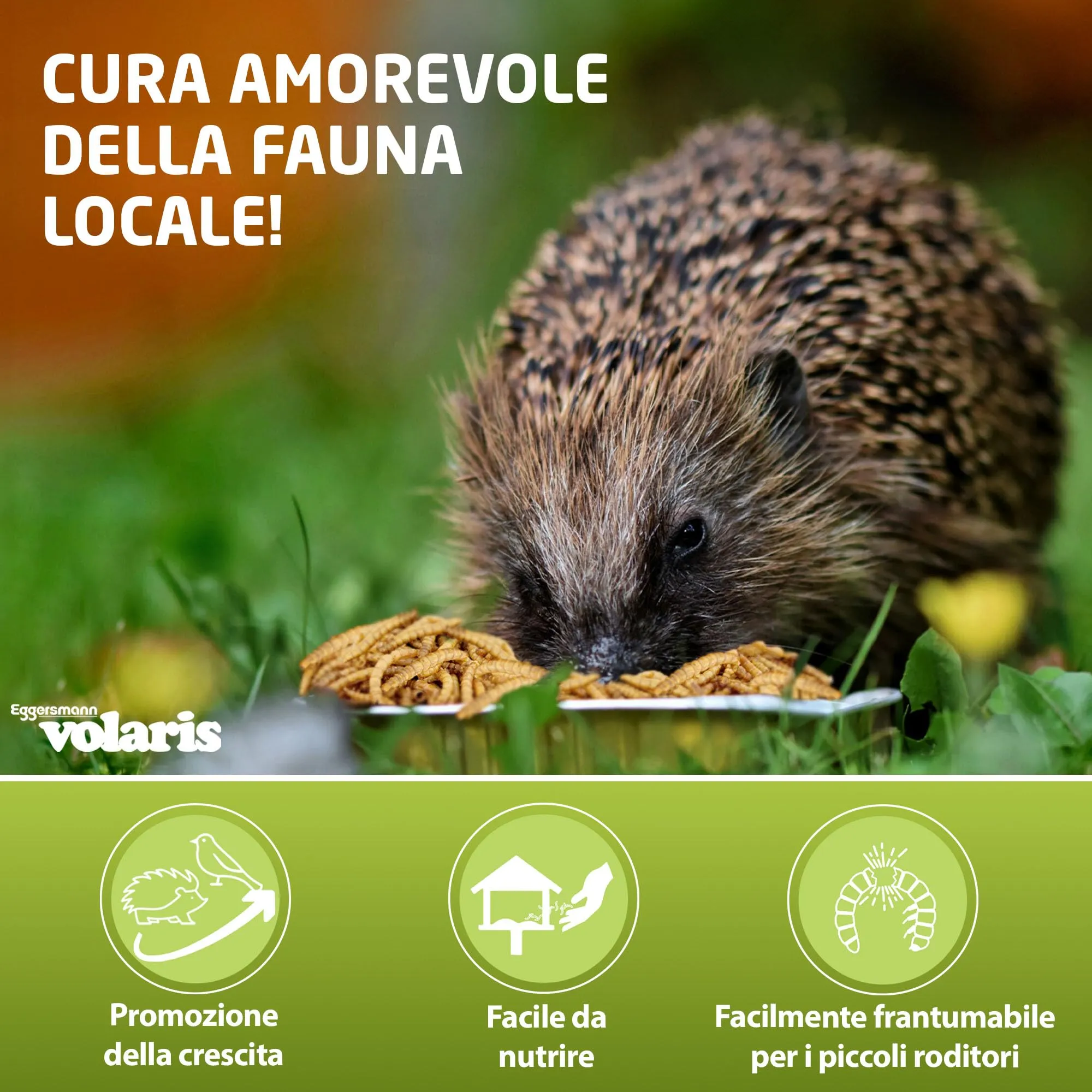 Eggersmann Volaris Vermi di Farina Secchi 900 g - immagine 2