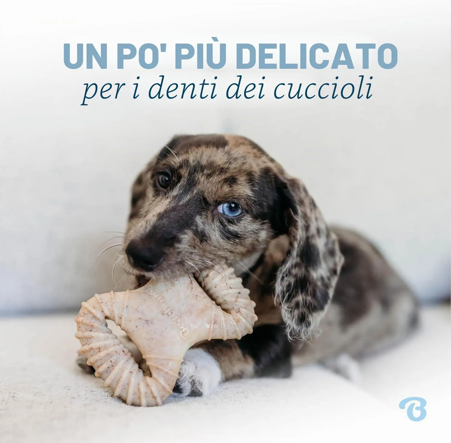 Benebone Cucciolo Dental/Wishbone, Bacon Reale, Set da 2 Giochi - immagine 2