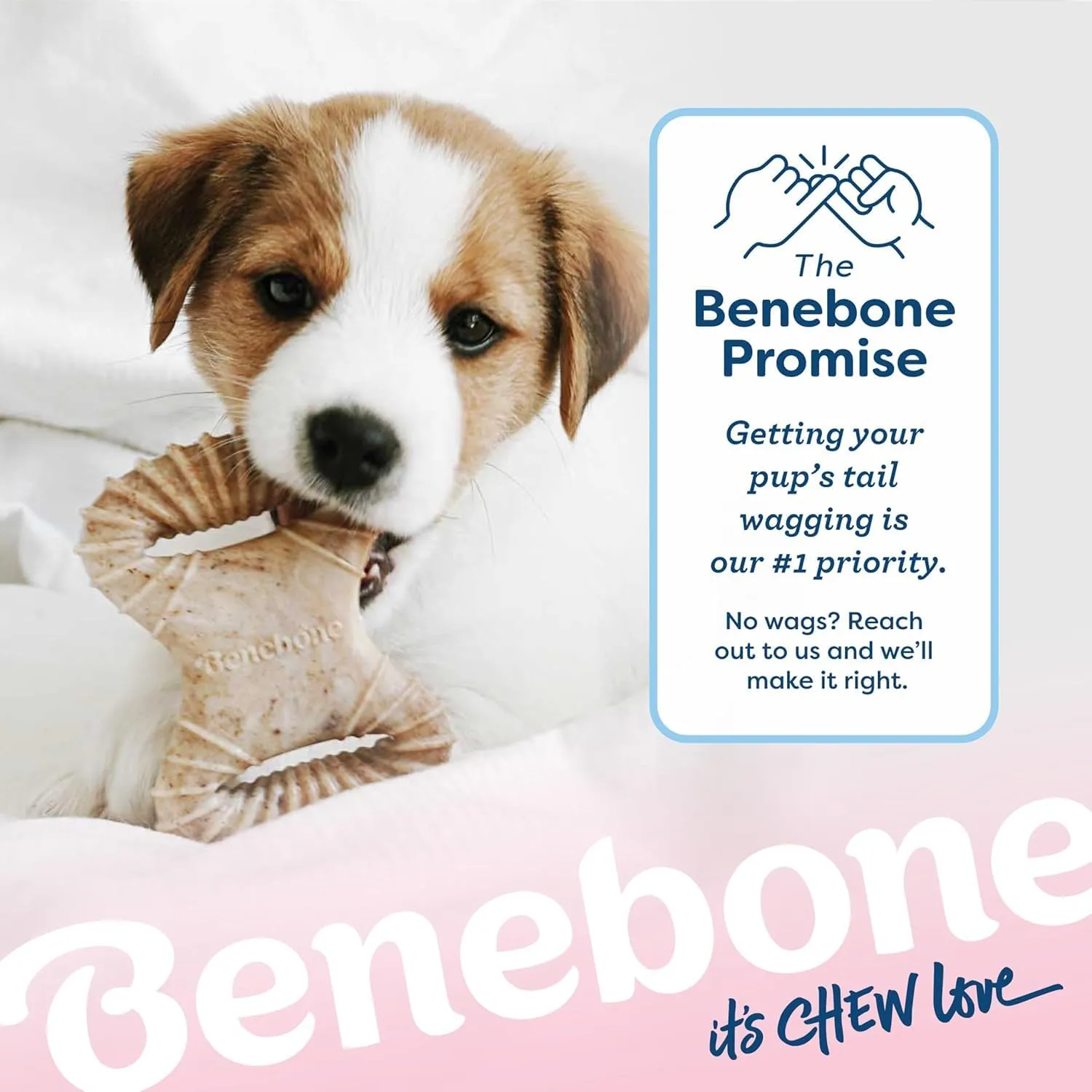 Benebone Cucciolo Dental/Wishbone, Bacon Reale, Set da 2 Giochi - immagine 6