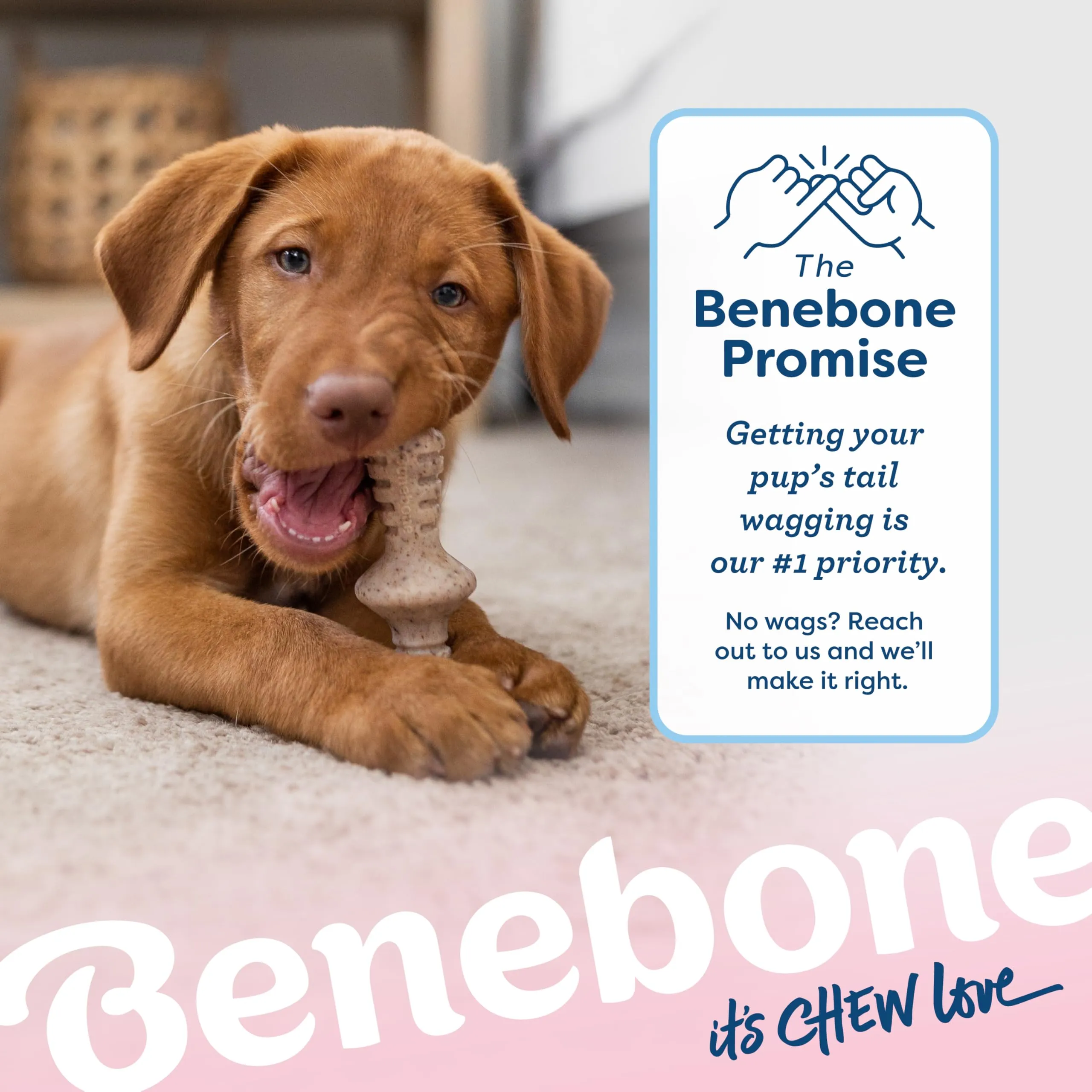 Benebone Cucciolo Maplestick & Zaggler, 2 Pack, Tiny - immagine 6