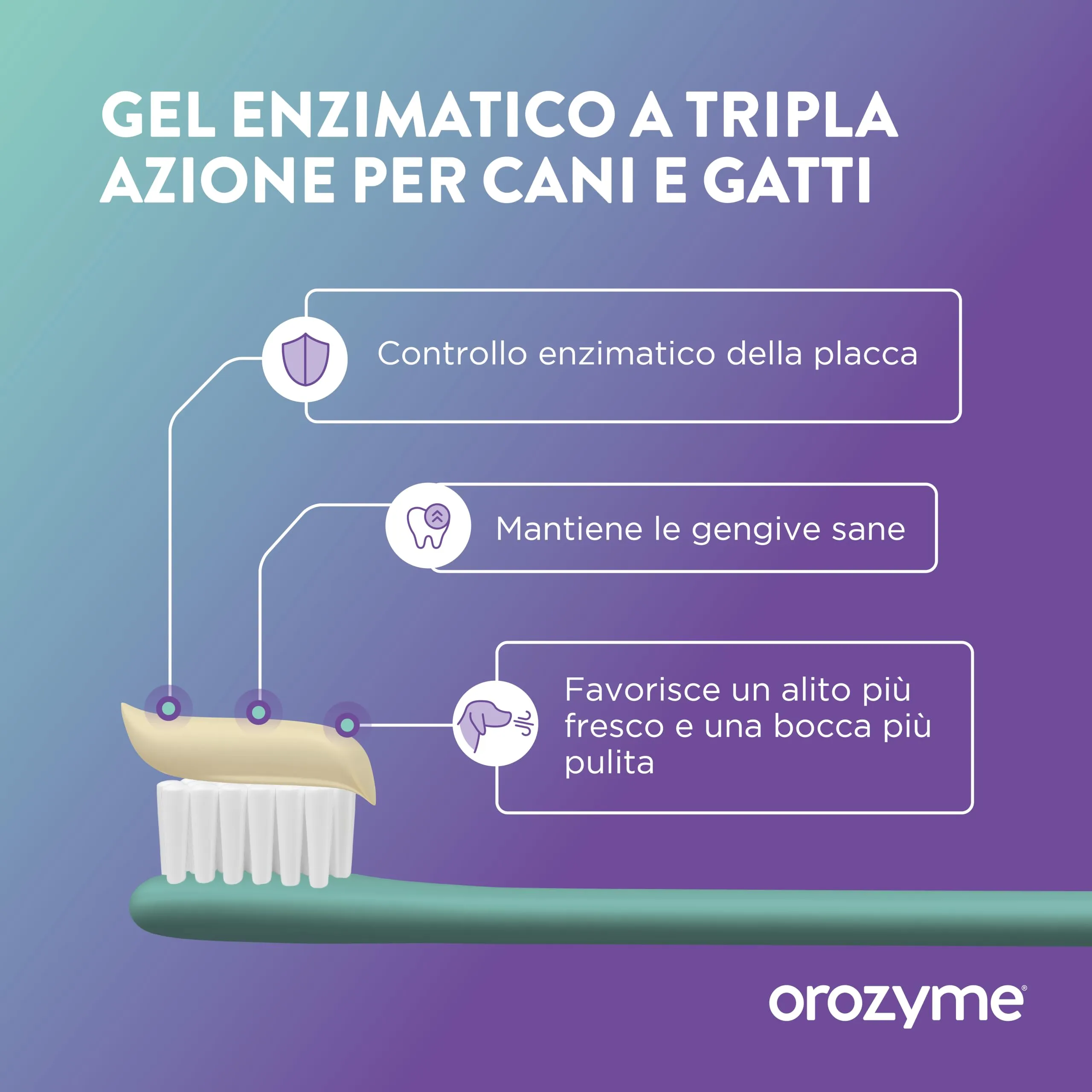 Ecuphar Orozyme Gel Dentale per cani e gatti, 2 x 70 g - immagine 3