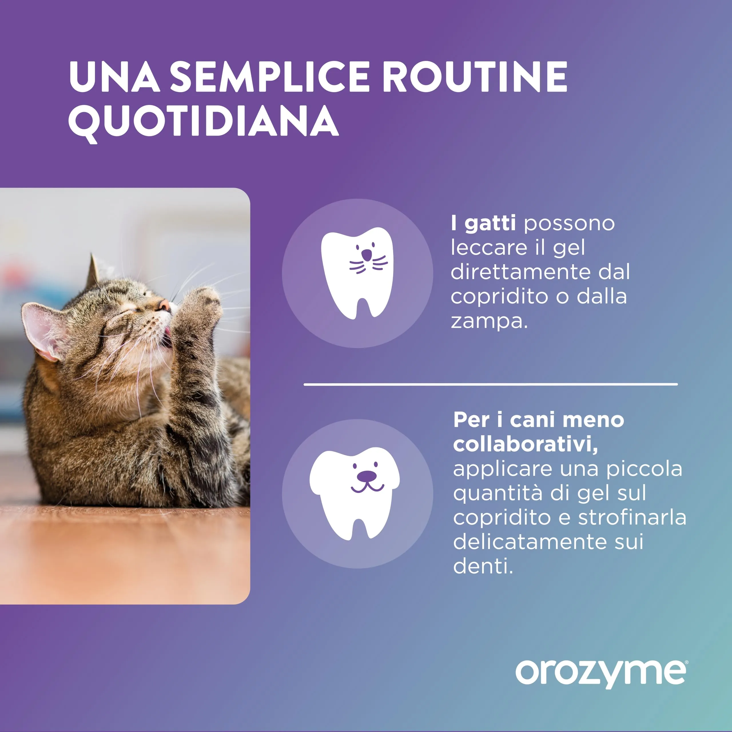 Ecuphar Orozyme Gel Dentale per cani e gatti, 2 x 70 g - immagine 5